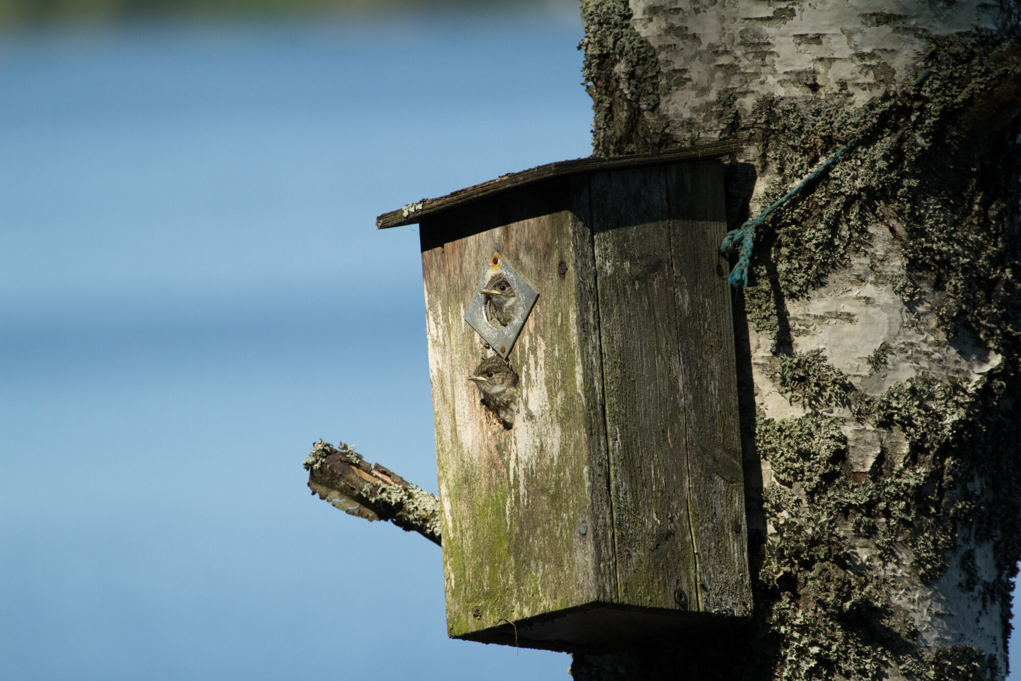Valokuvaaja: Outi Ruusunen