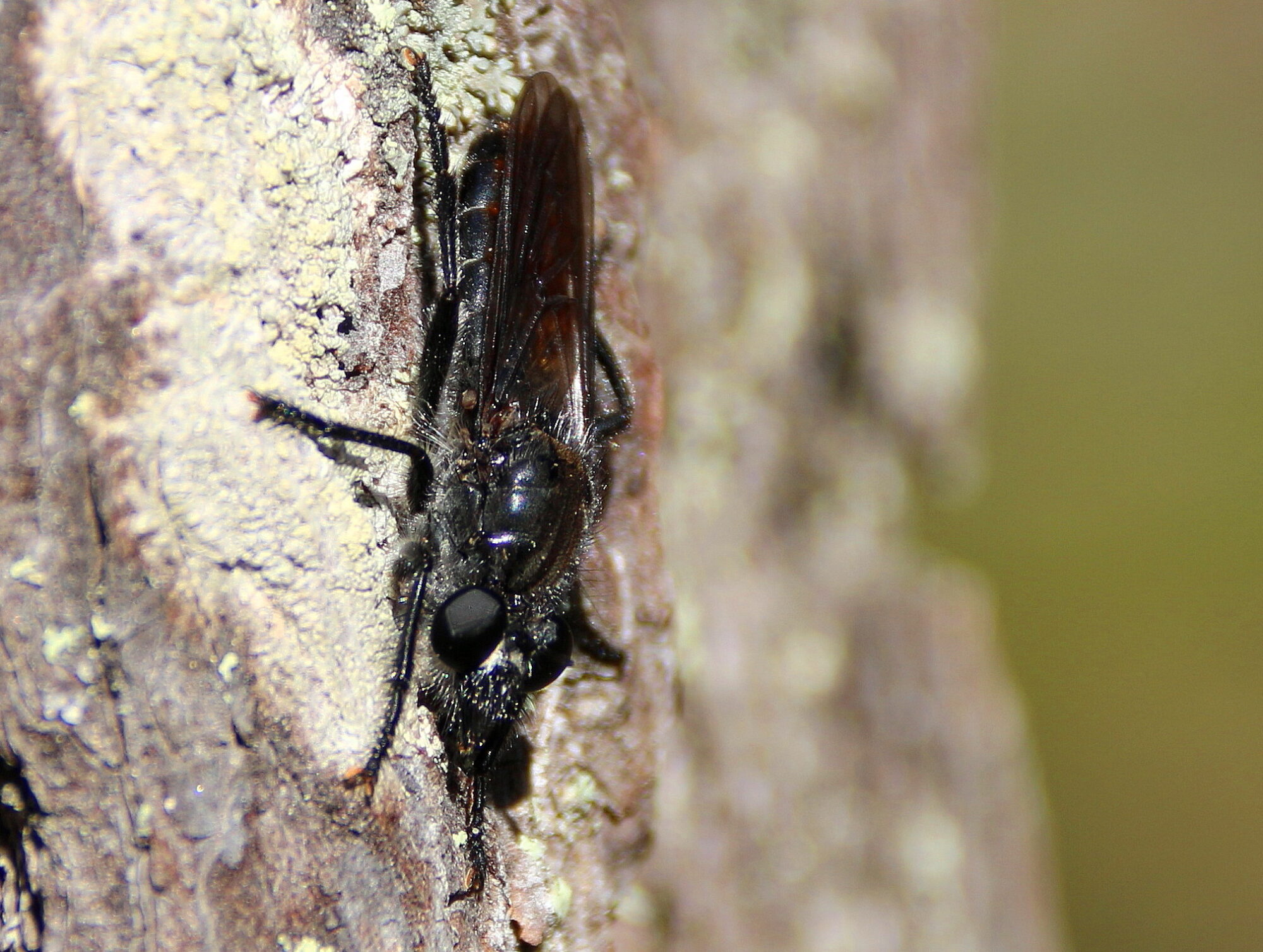 Valokuvaaja: Tuukka Pahtamaa