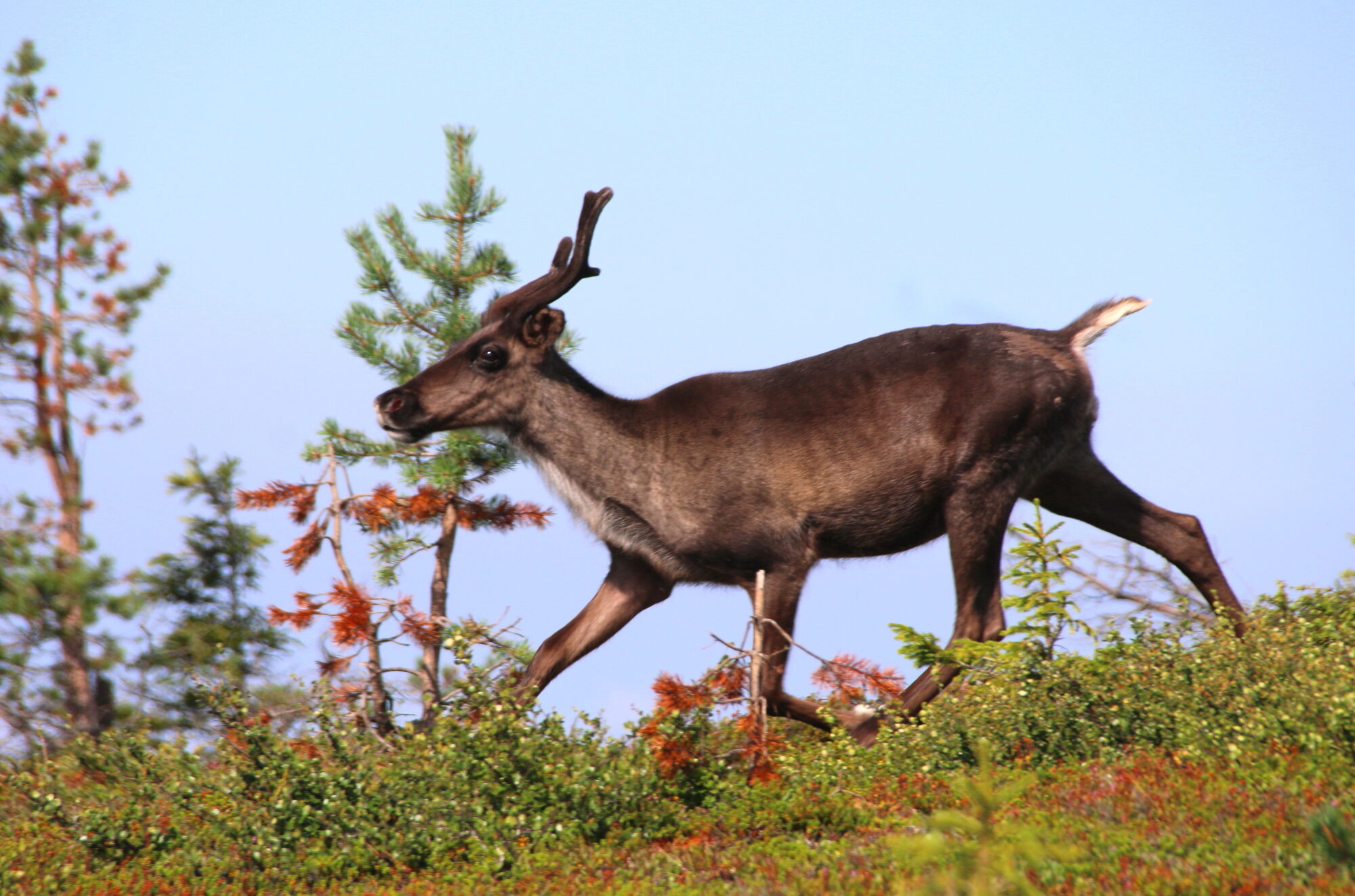 Valokuvaaja: Tuukka Pahtamaa