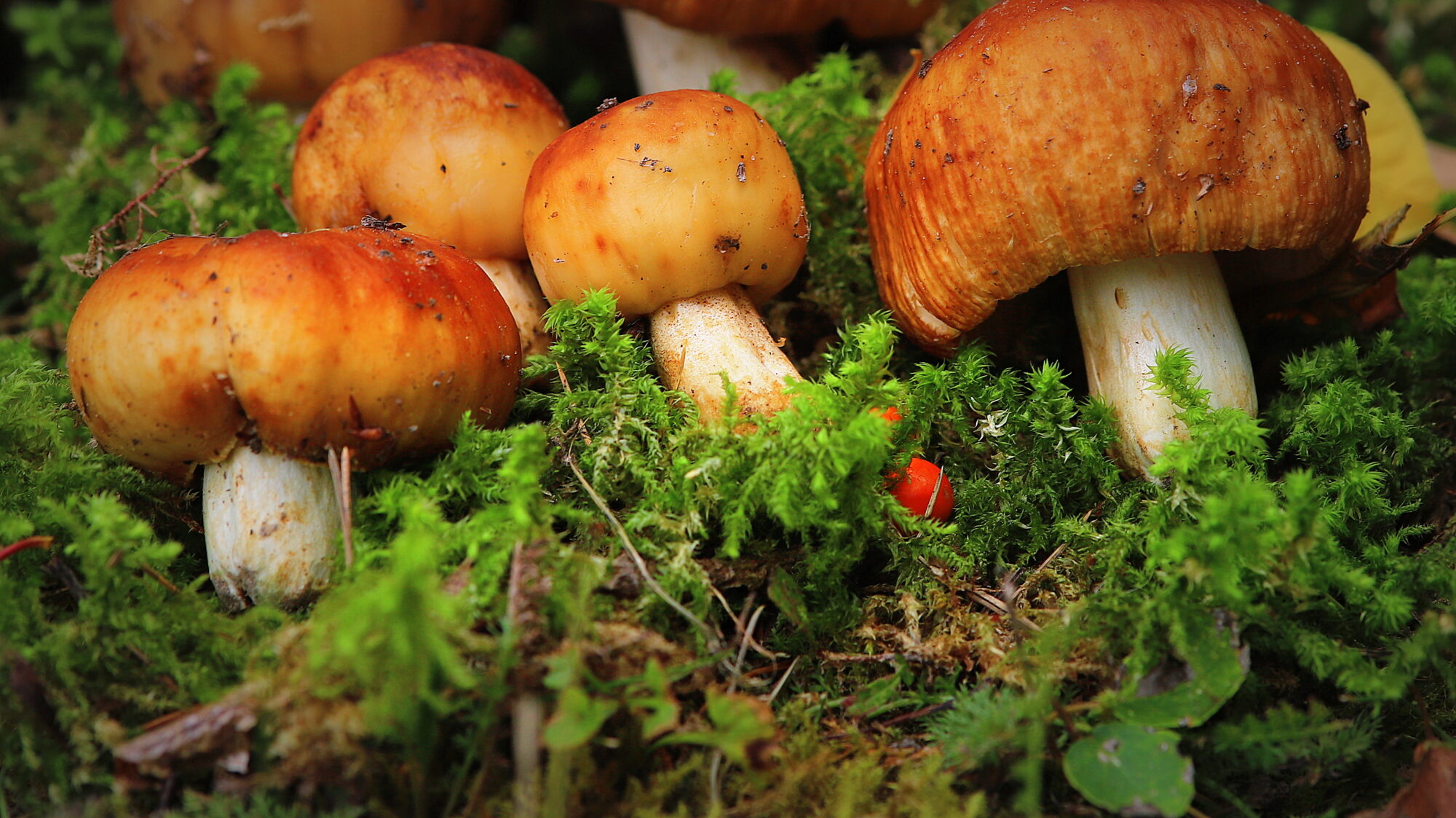 Valokuvaaja: sirpa Jyske