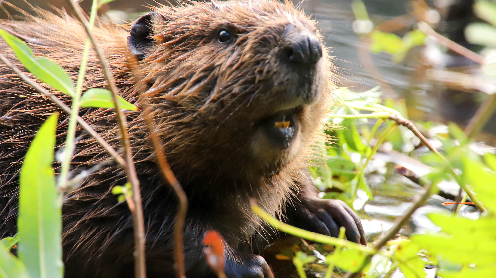 Valokuvaaja: sirpa Jyske
