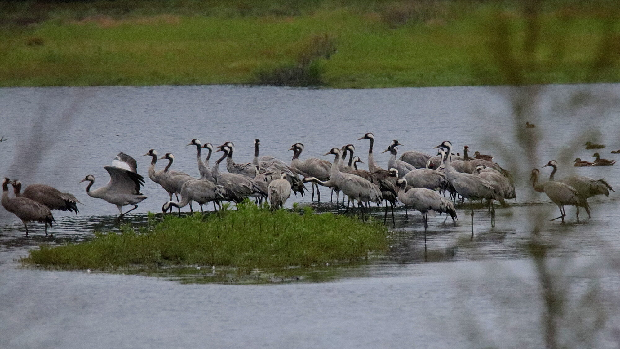 Valokuvaaja: sirpa Jyske