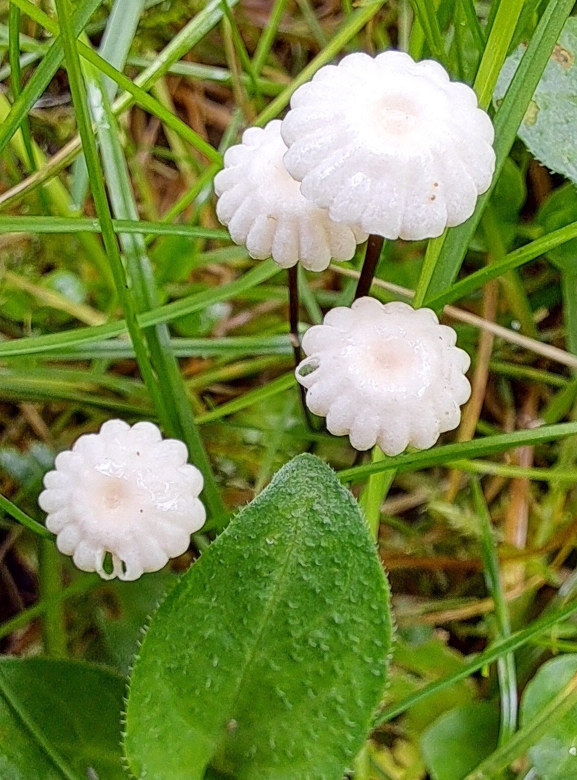 Valokuvaaja: Irja Lehtinen