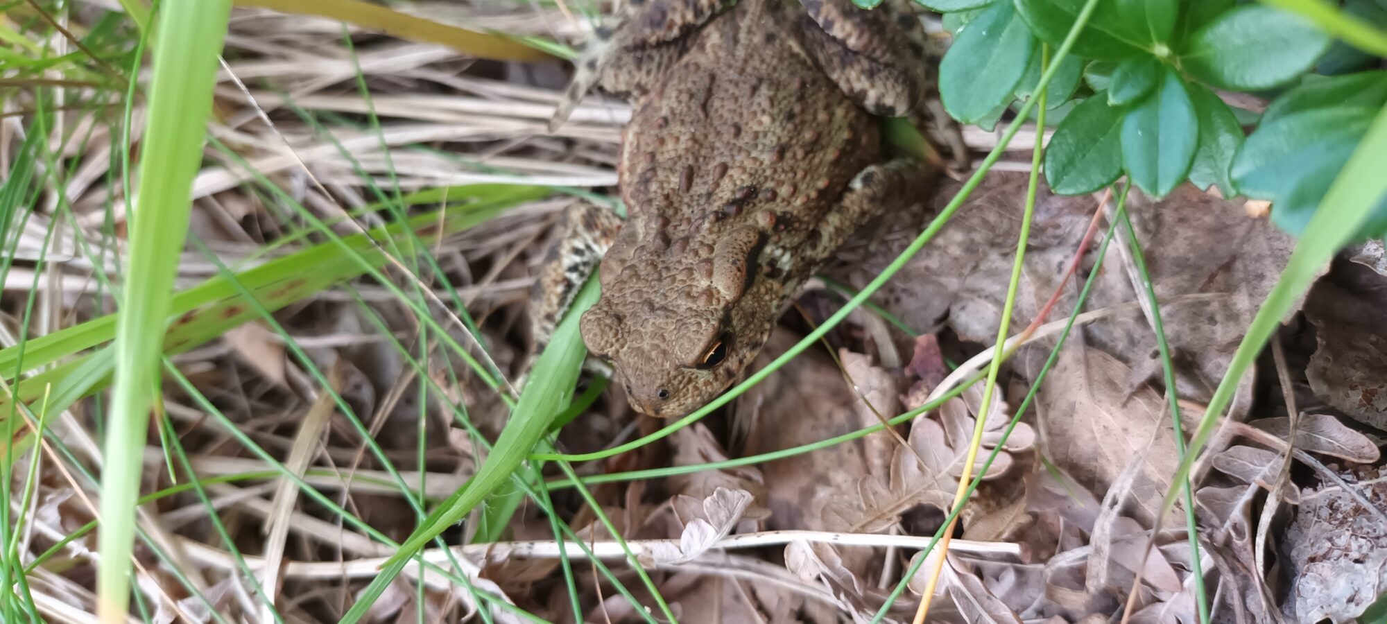 Valokuvaaja: Alvar Ilmonen Valokuvaaja: Alvar Ilmonen