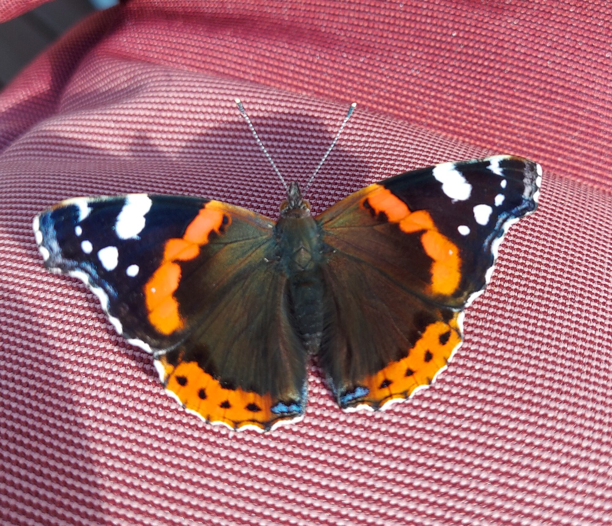 Valokuvaaja: Tarja Heikka