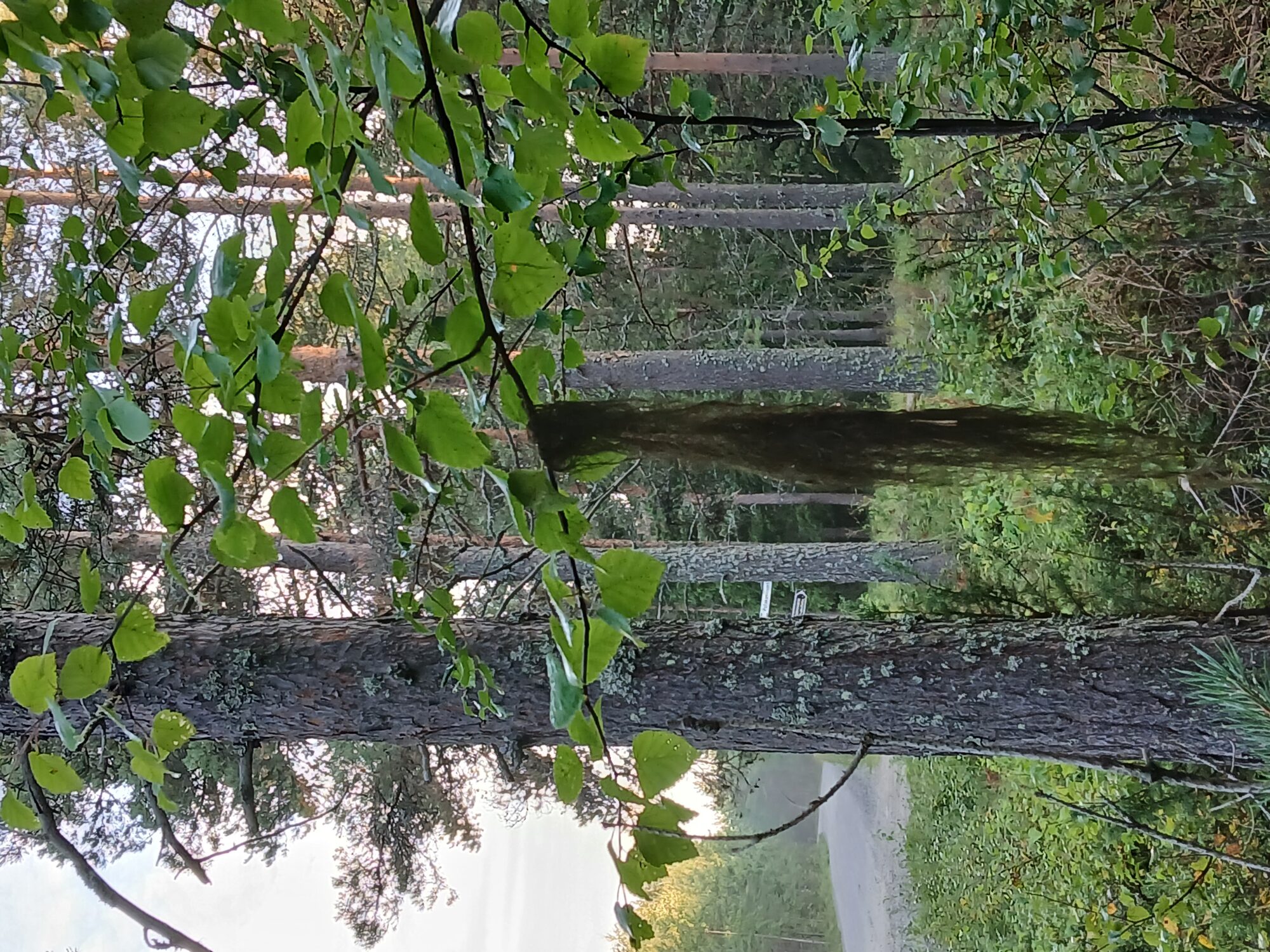 Valokuvaaja: Auli Feldt