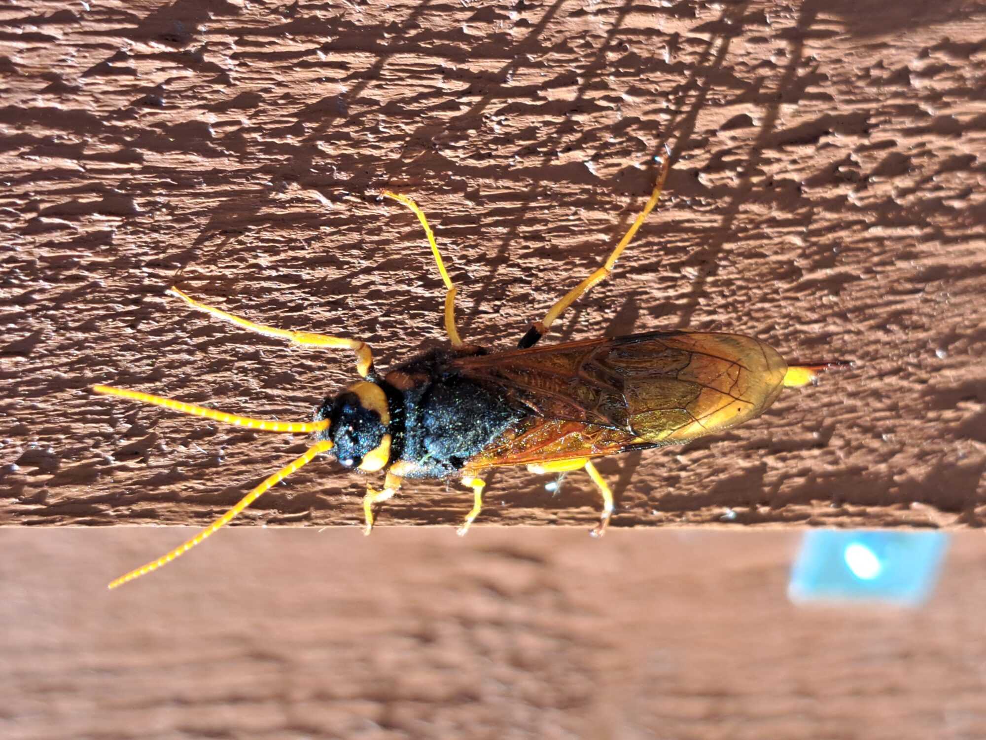 Valokuvaaja: Marja-Terttu Niemi