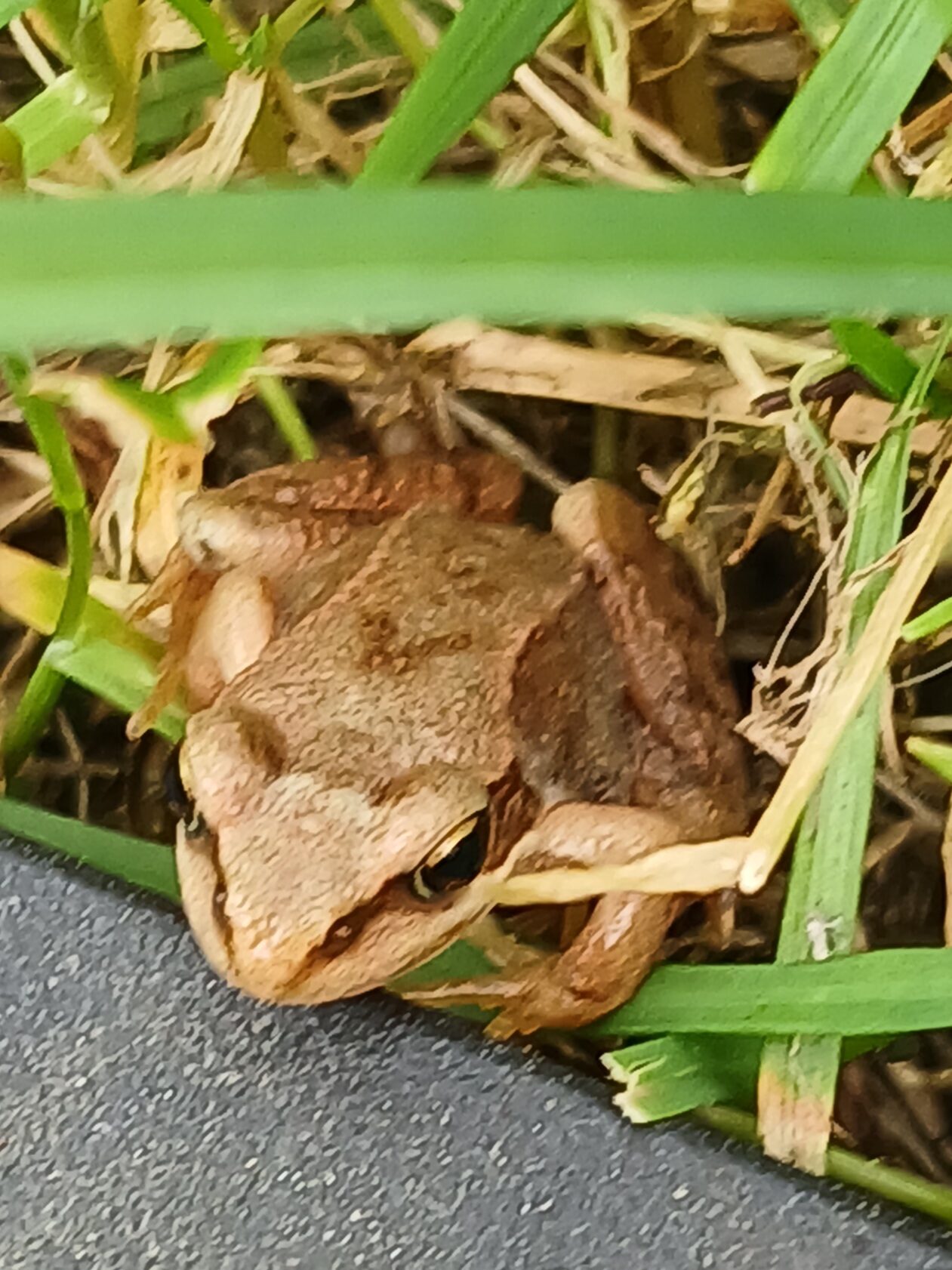 Valokuvaaja: Auli Feldt