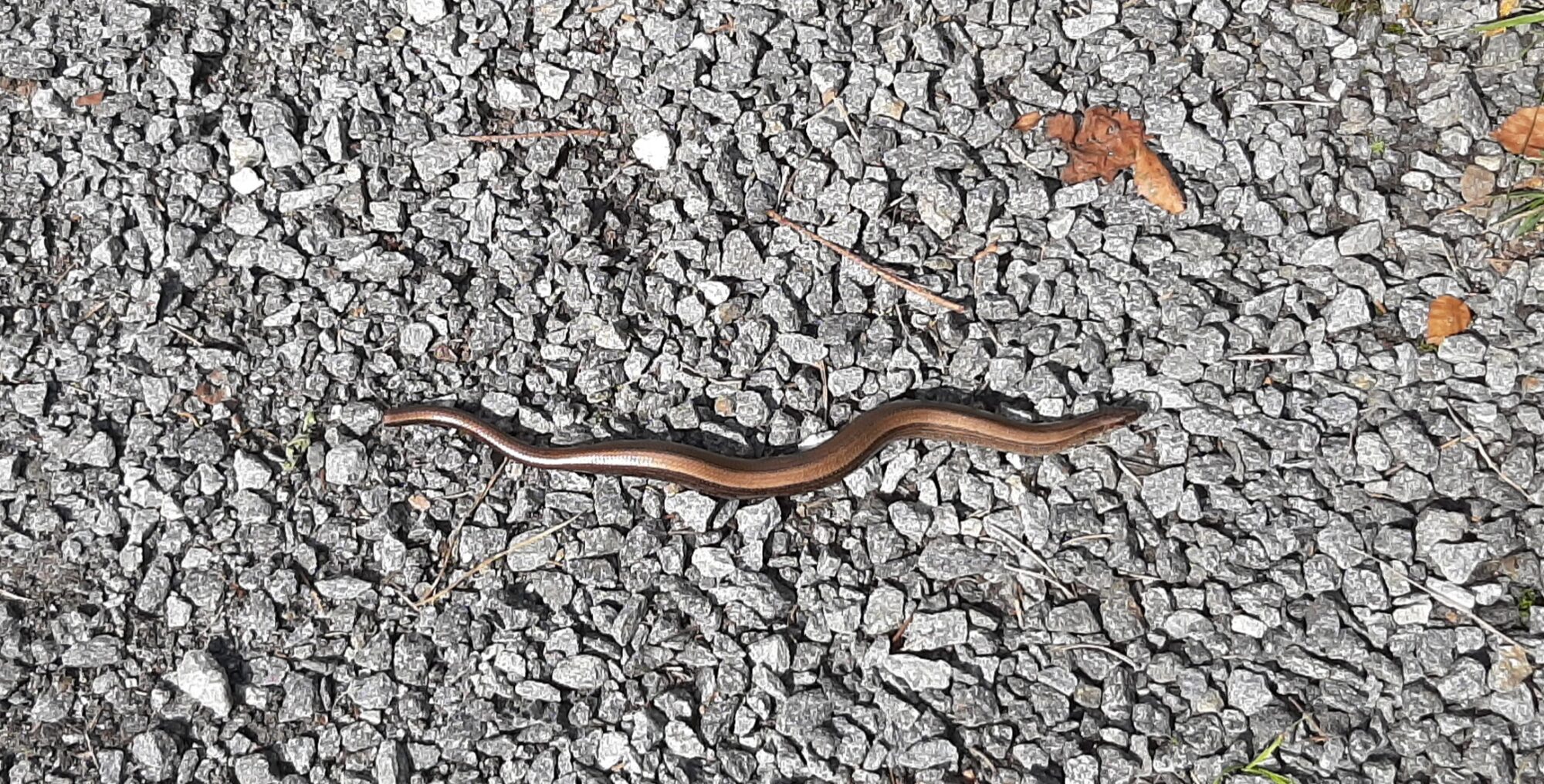 Valokuvaaja: Sirpa Lankila