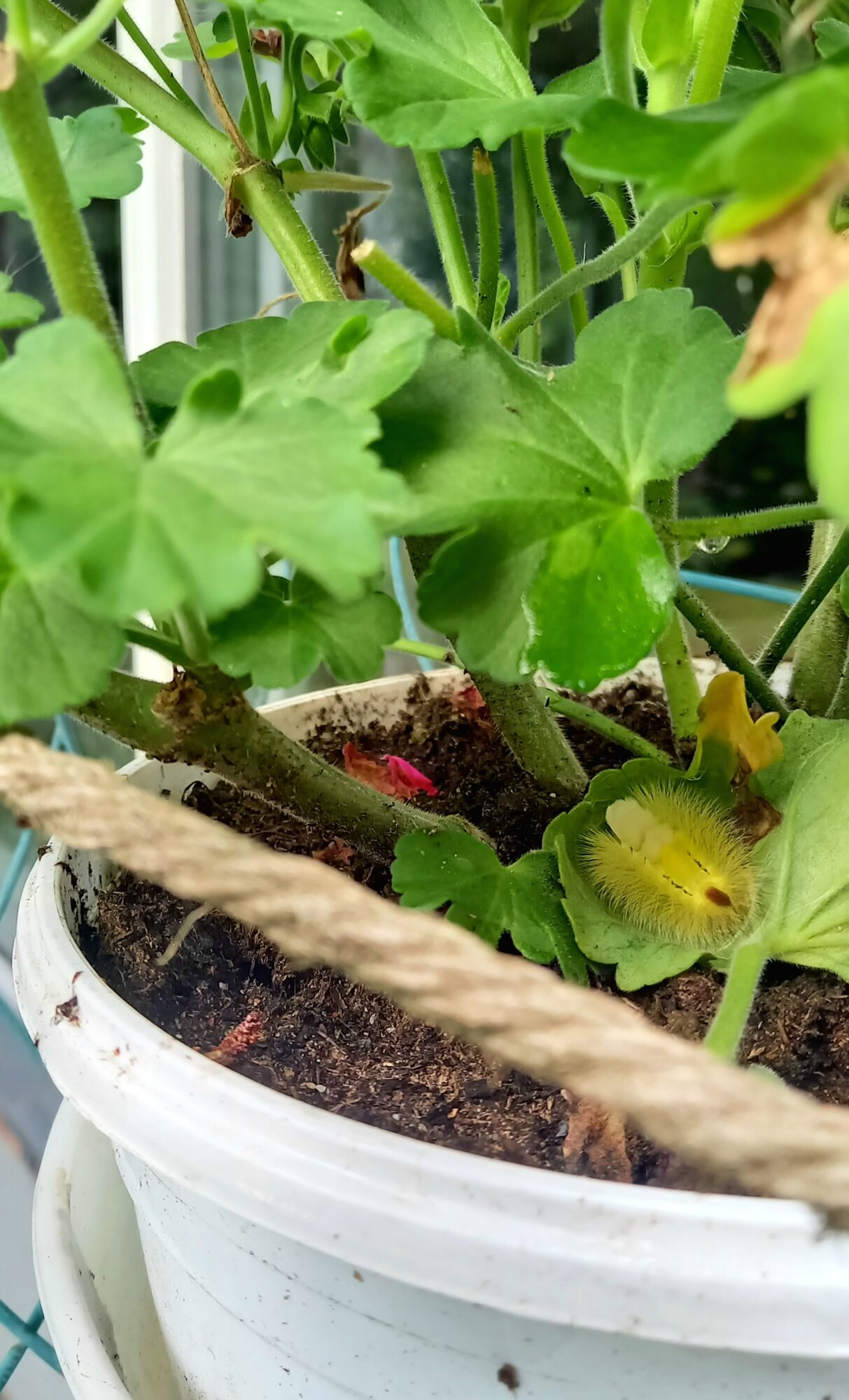 Valokuvaaja: Tuija Soderlund