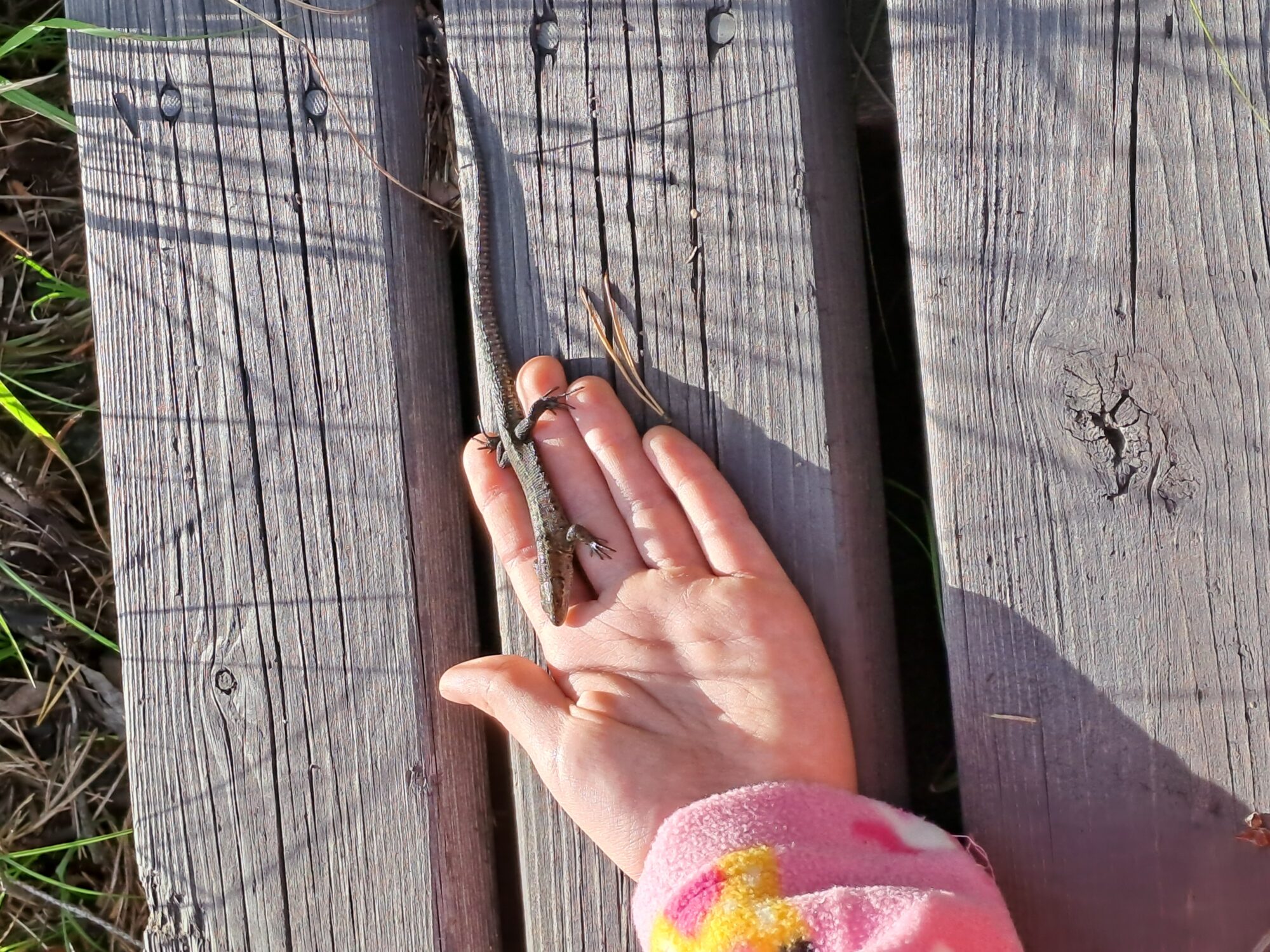 Valokuvaaja: Mirja Suoknuuti