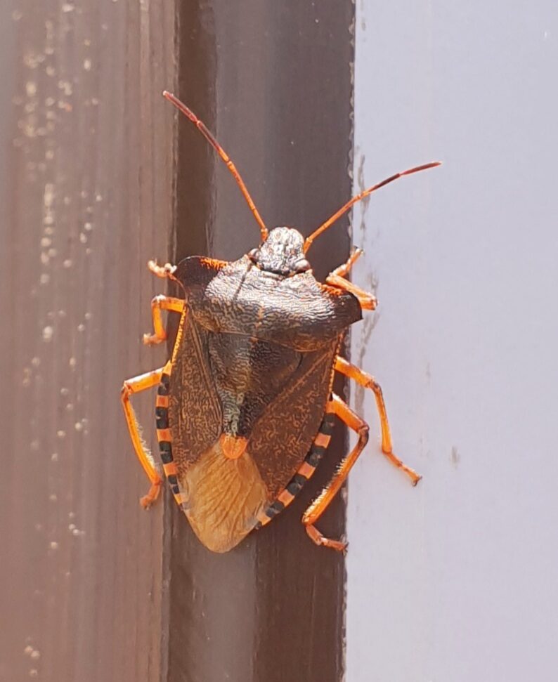 Valokuvaaja: Anu Lapinlampi