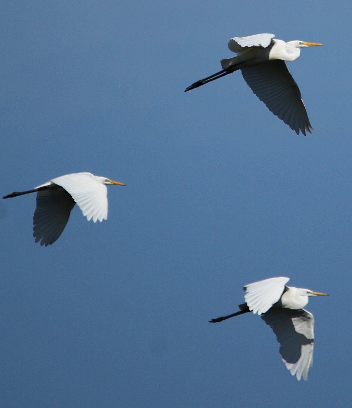 Valokuvaaja: Kaarina Heiskanen