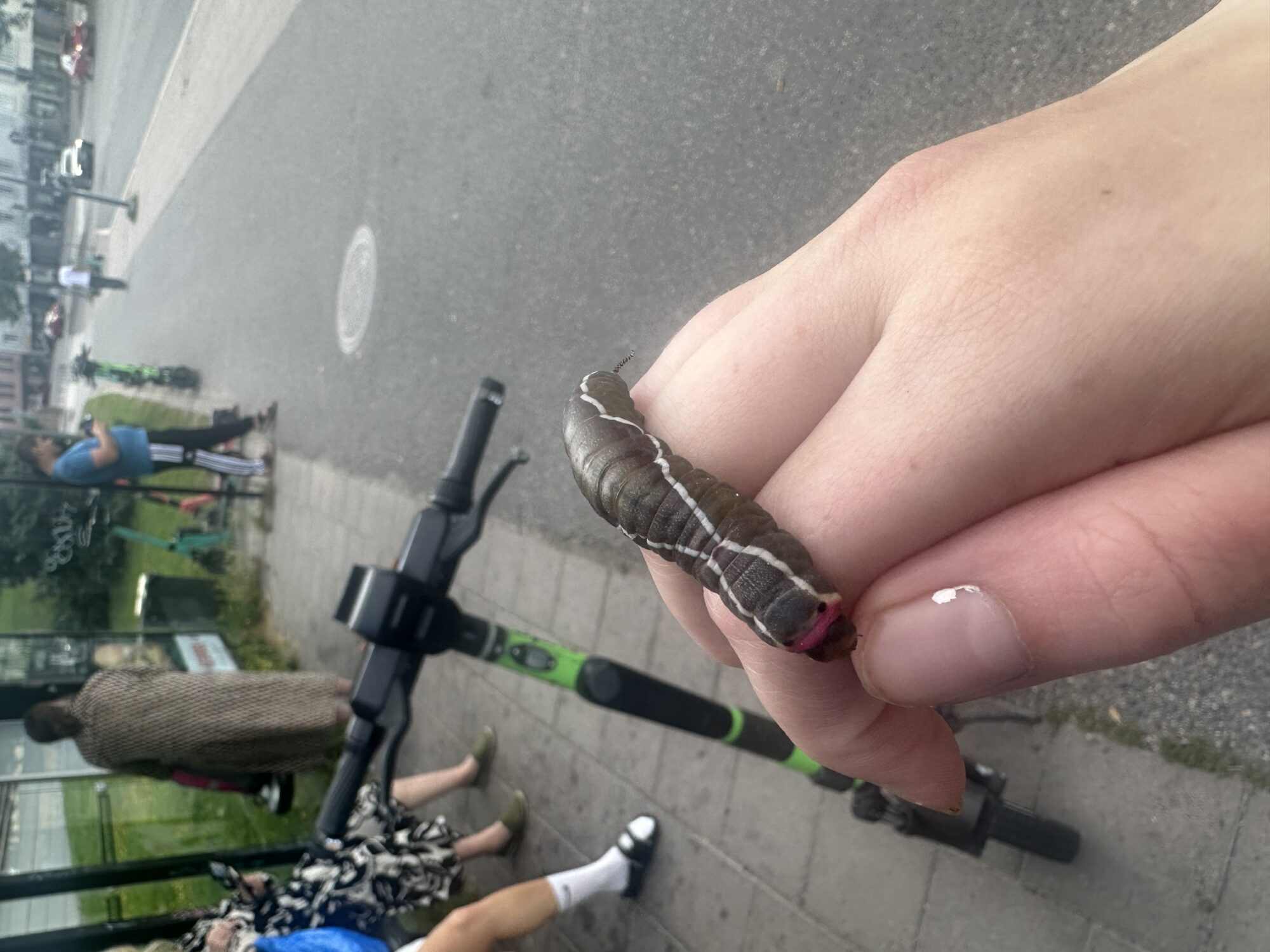 Valokuvaaja: Anna packalen