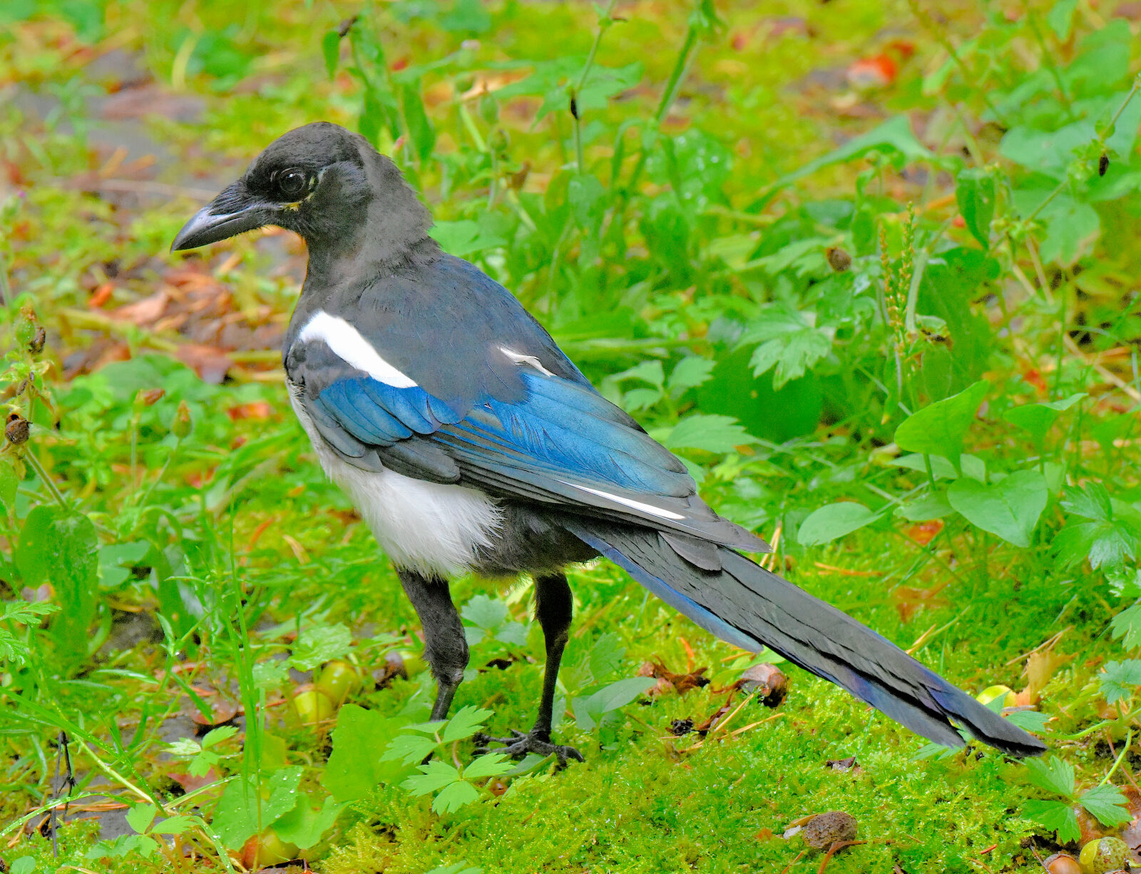 Valokuvaaja: Reijo Juurinen