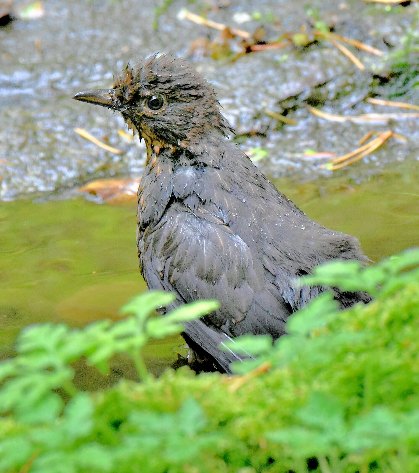 Valokuvaaja: Reijo Juurinen
