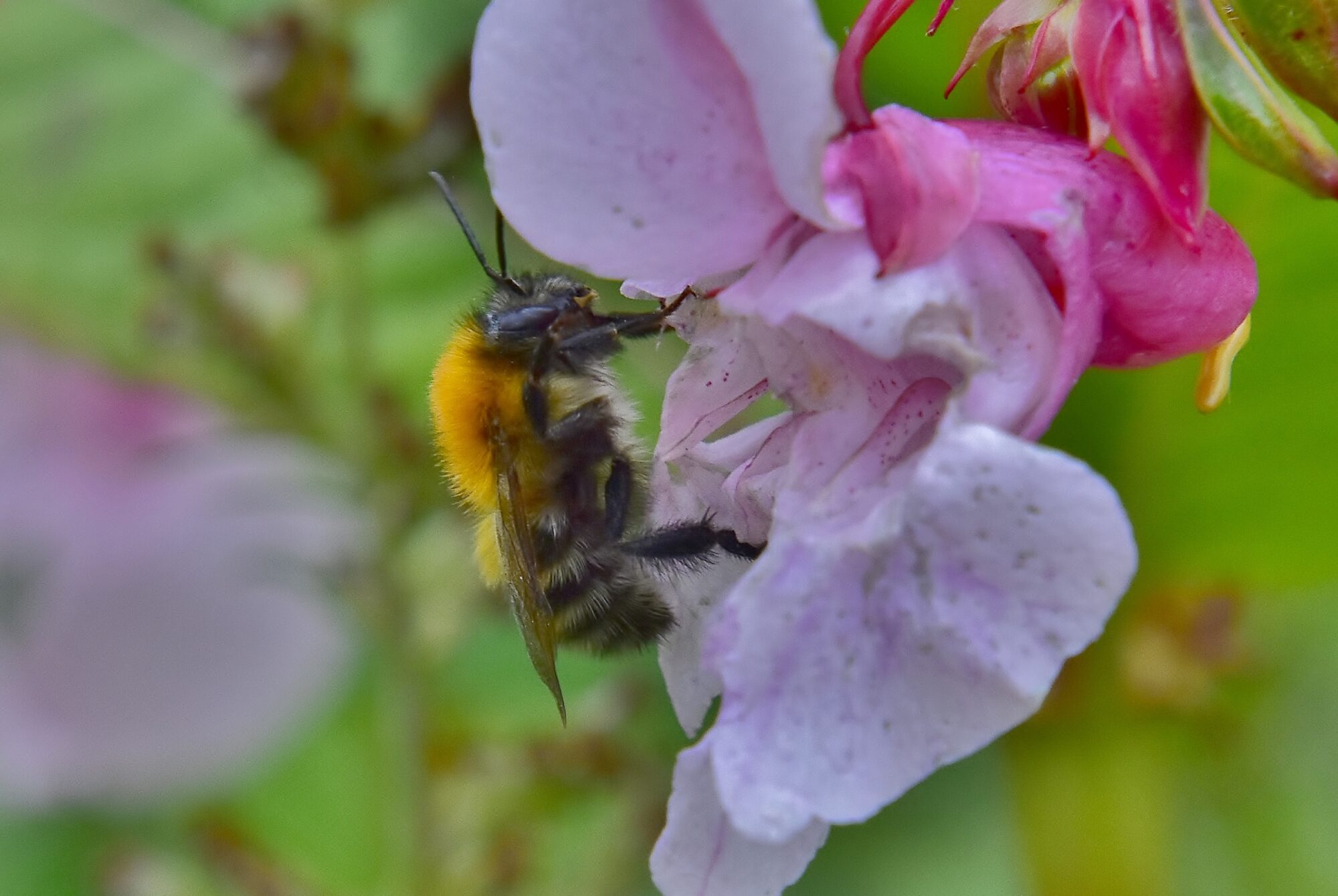 Valokuvaaja: Markku Pelkonen