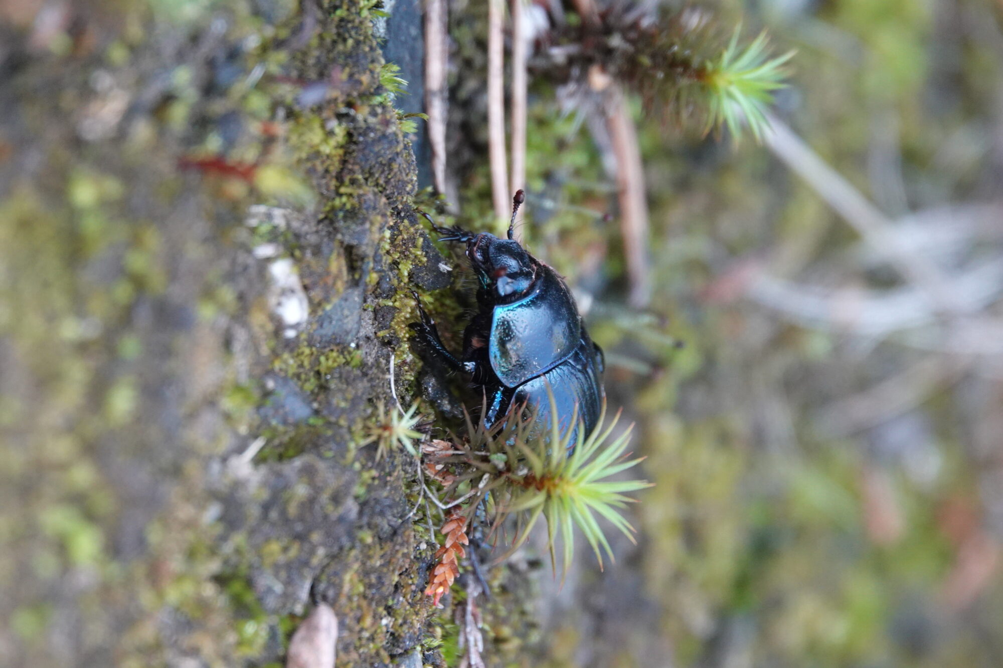 Valokuvaaja: Jenna Pitkänen