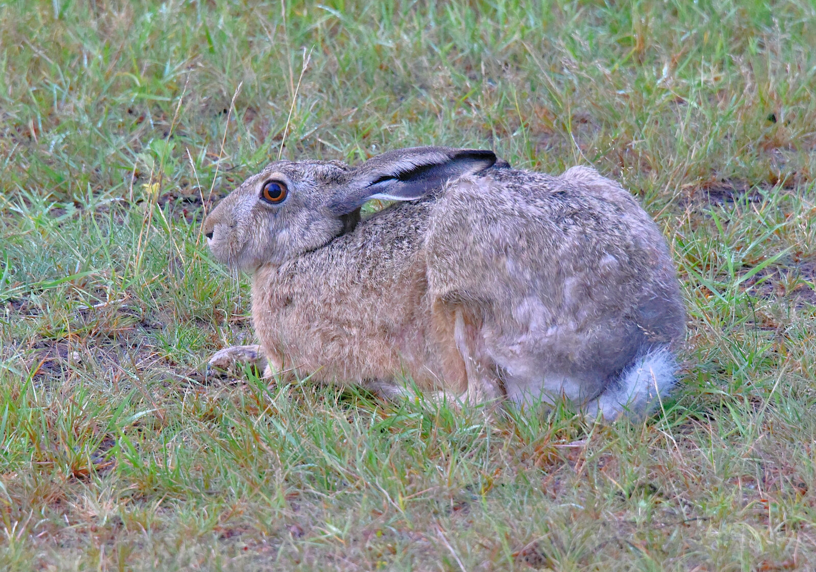 Valokuvaaja: Reijo Juurinen