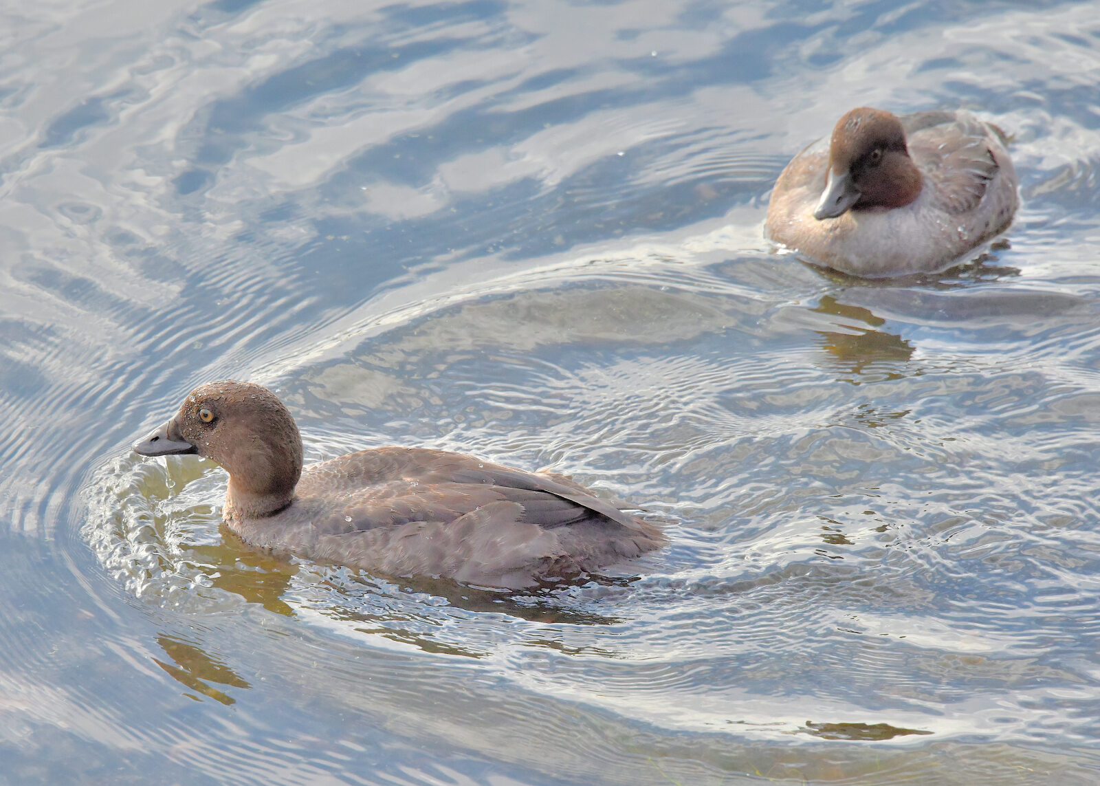 Valokuvaaja: Reijo Juurinen