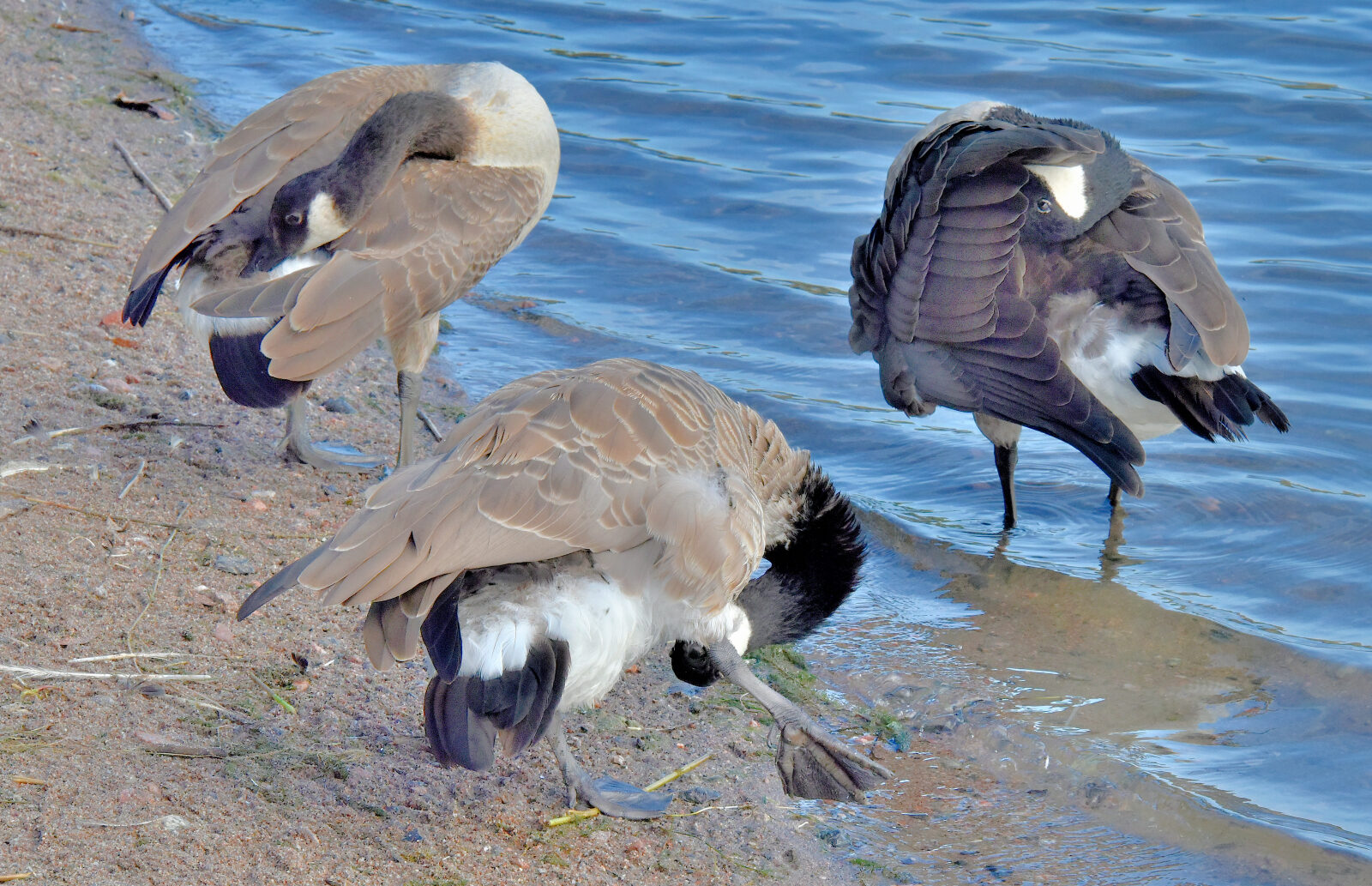 Valokuvaaja: Reijo Juurinen