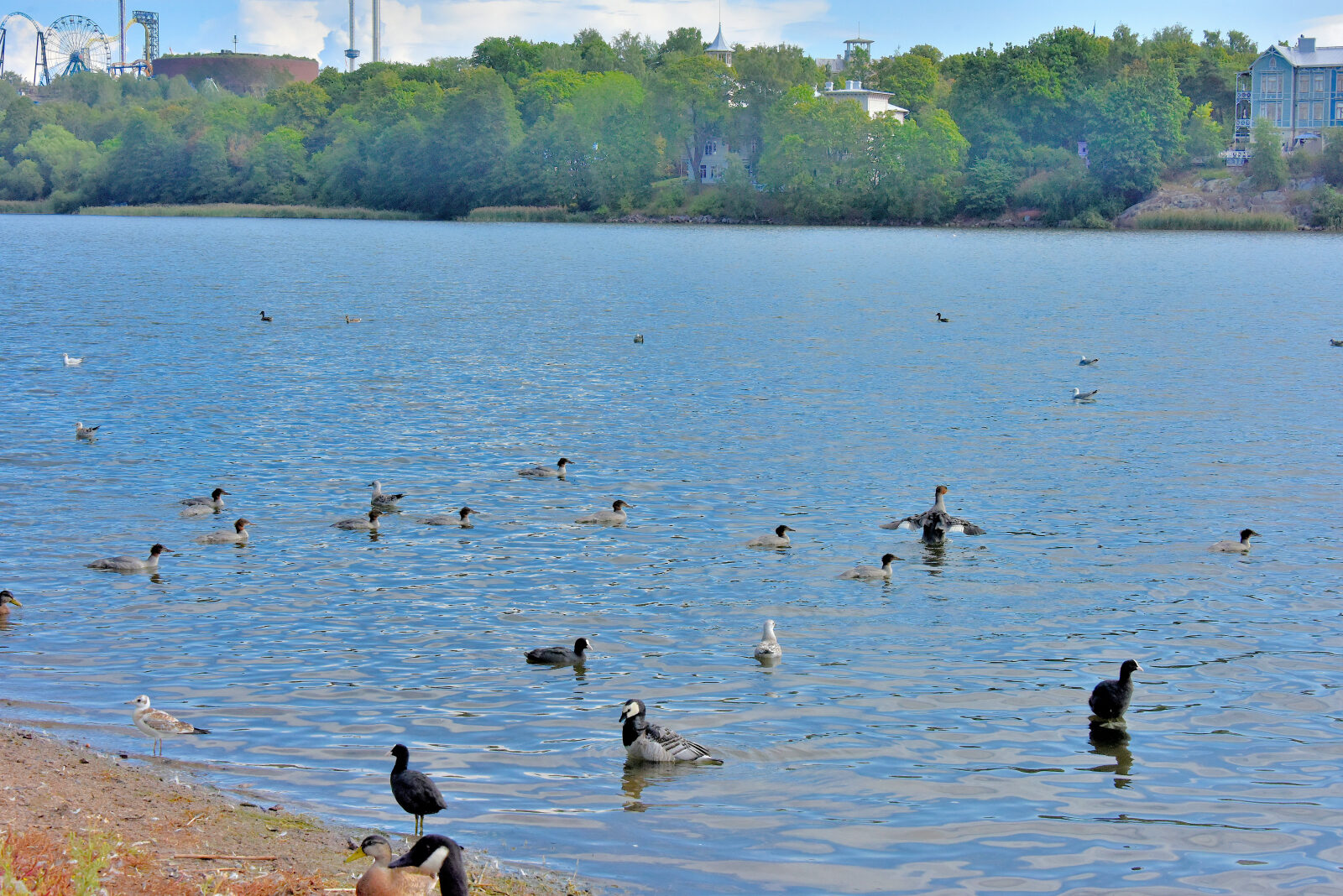 Valokuvaaja: Reijo Juurinen