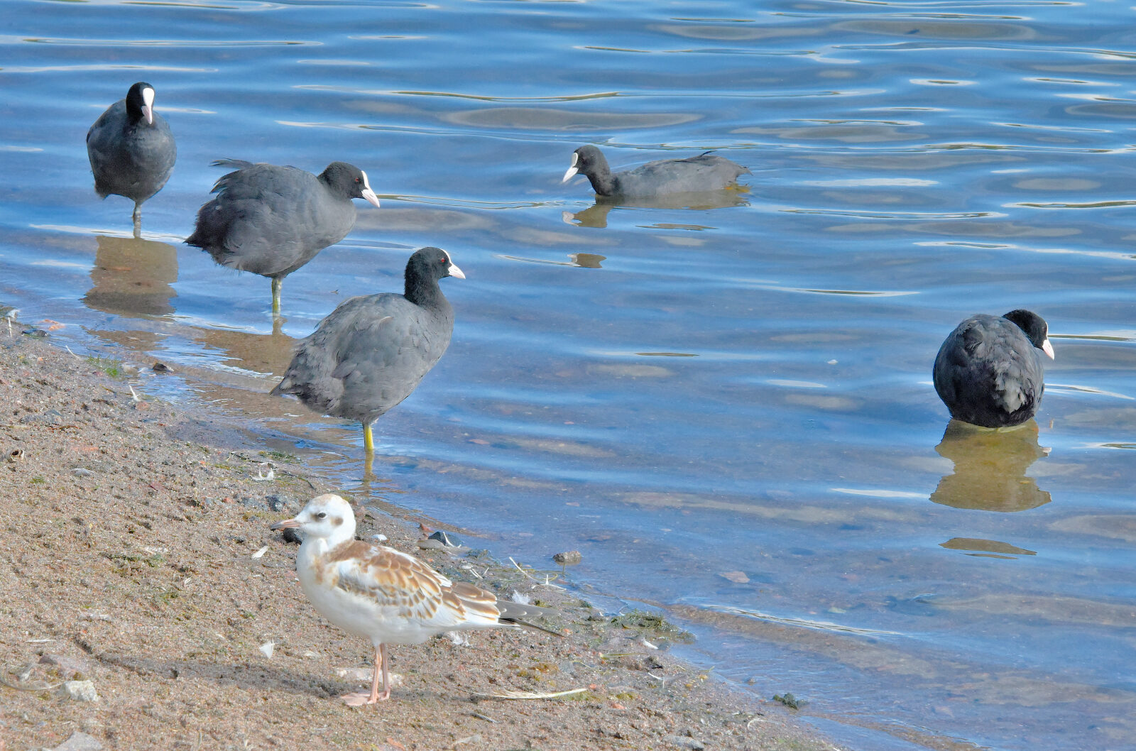 Valokuvaaja: Reijo Juurinen
