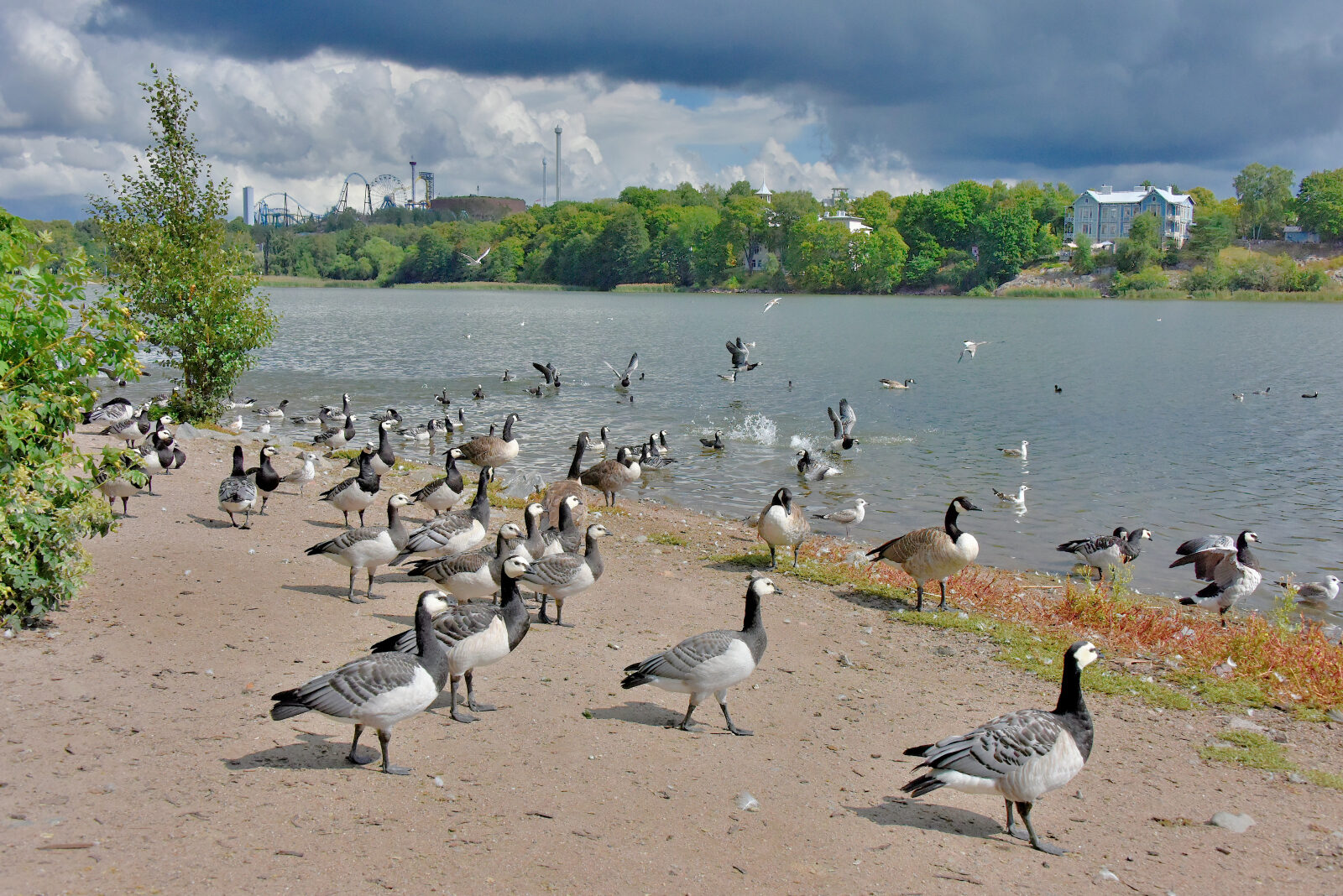 Valokuvaaja: Reijo Juurinen