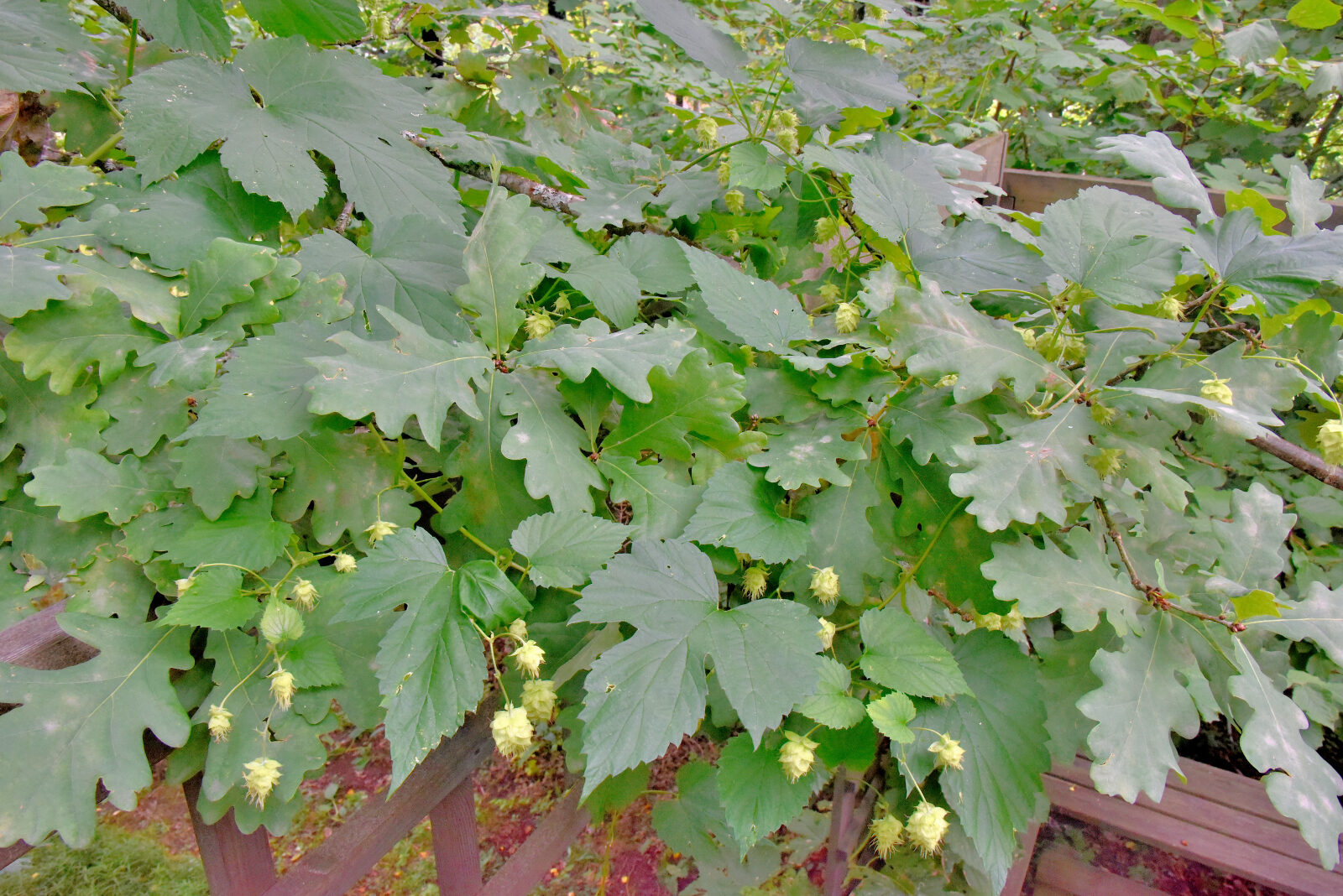 Valokuvaaja: Reijo Juurinen