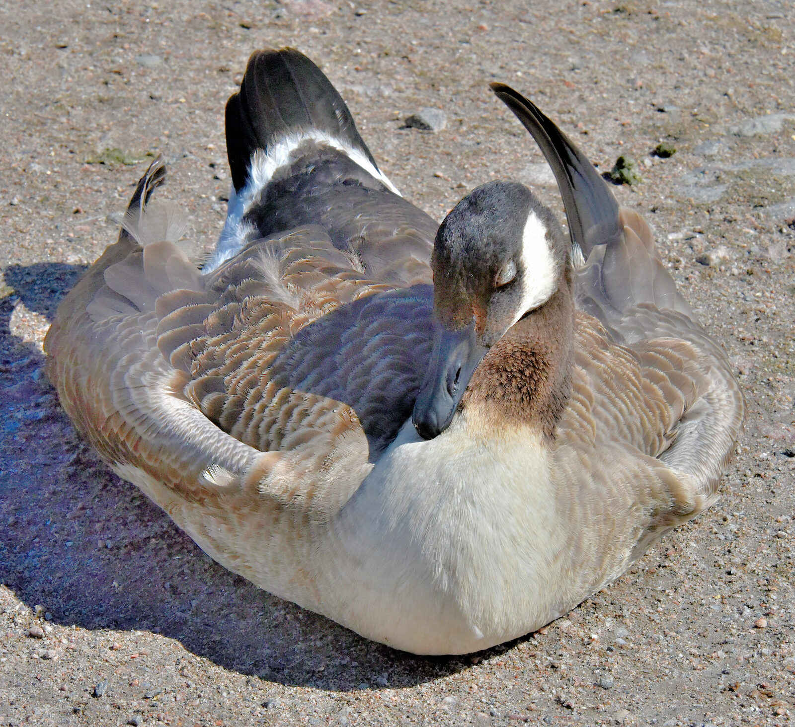 Valokuvaaja: Reijo Juurinen