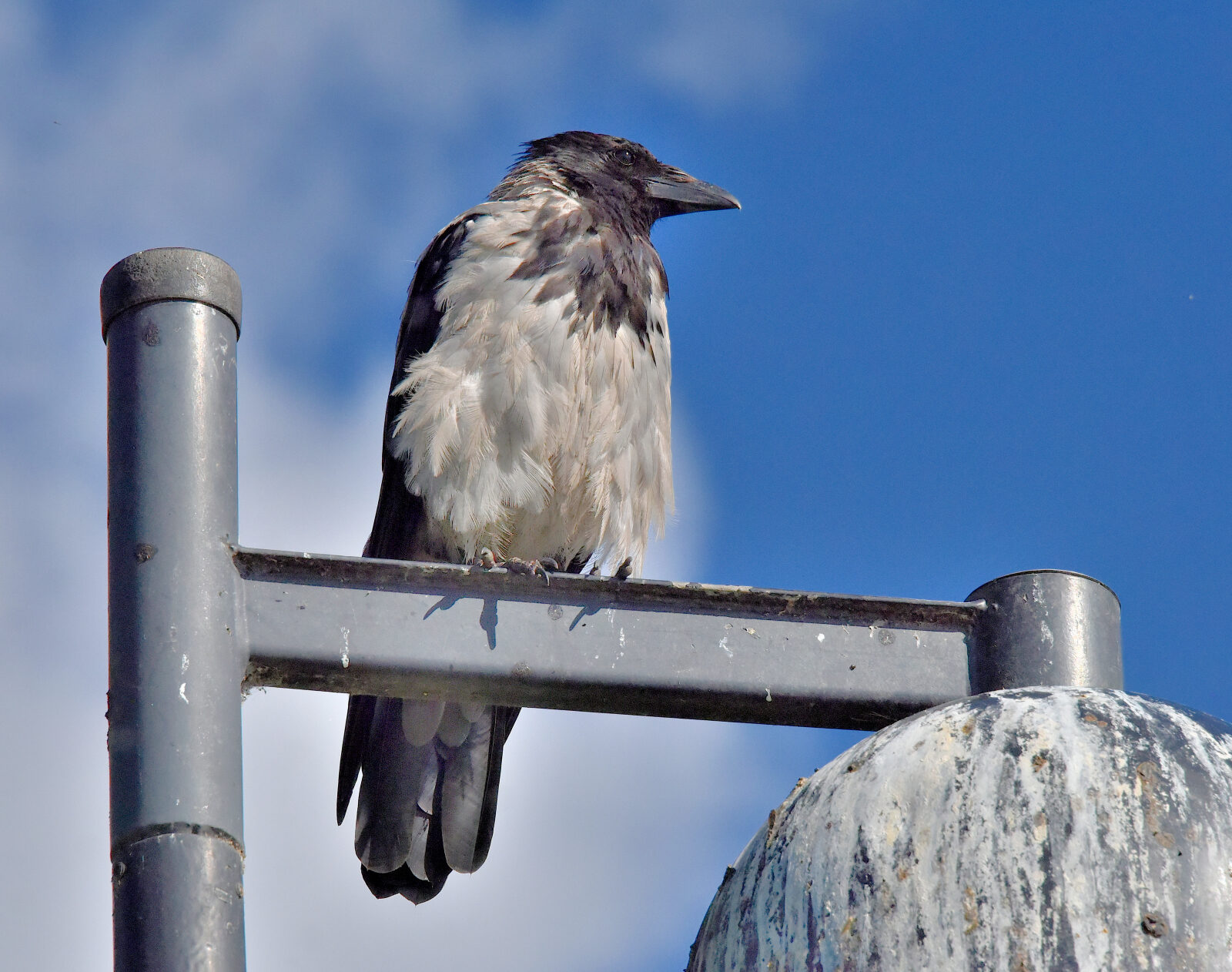 Valokuvaaja: Reijo Juurinen