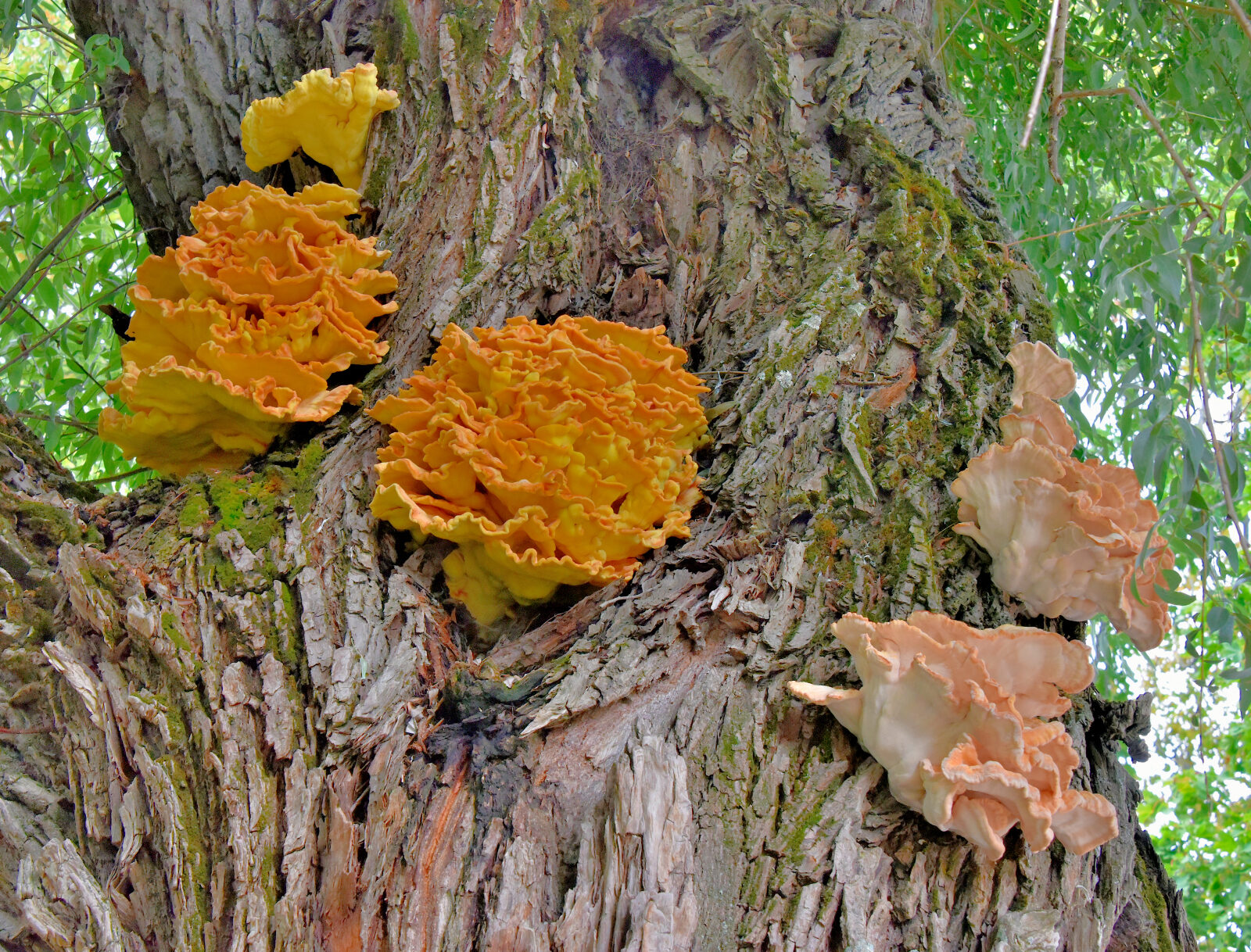 Valokuvaaja: Reijo Juurinen