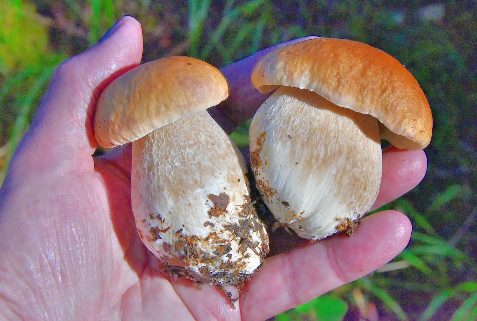 Valokuvaaja: Reijo Juurinen