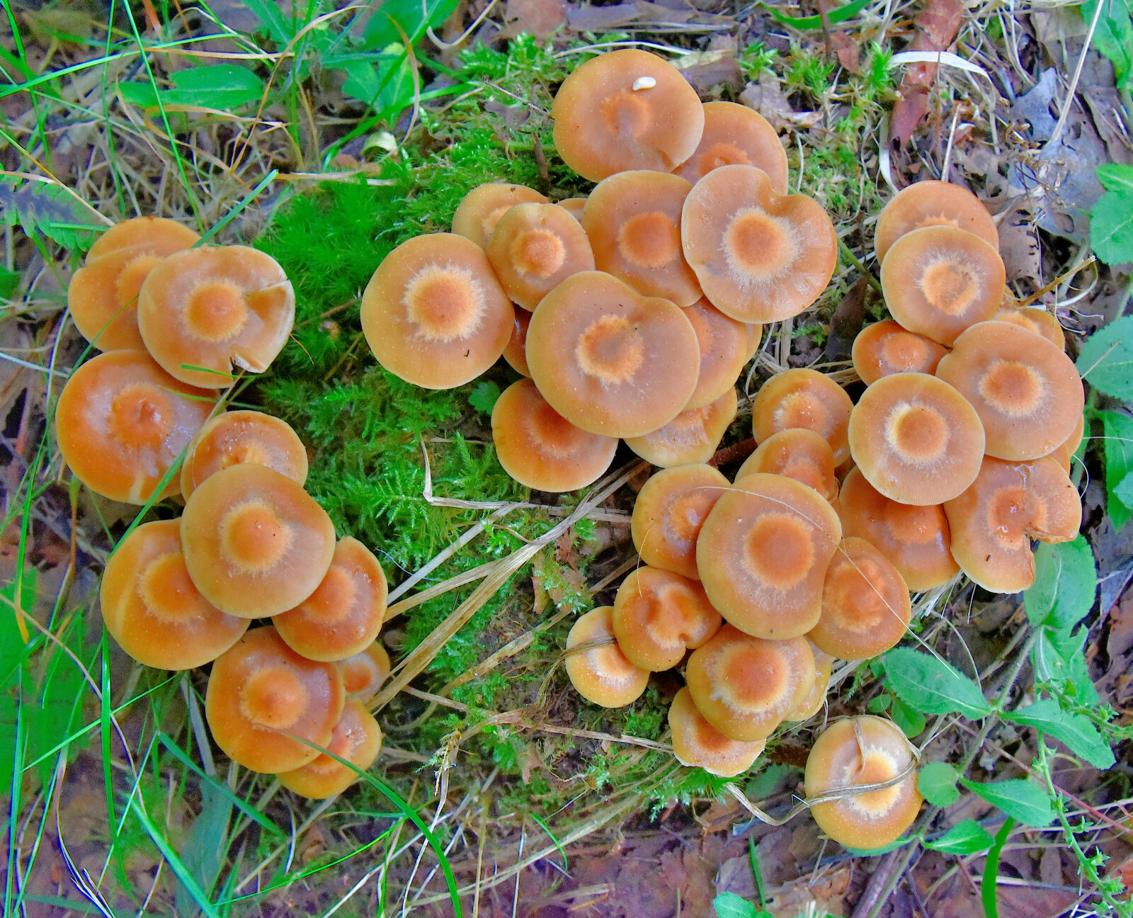 Valokuvaaja: Reijo Juurinen