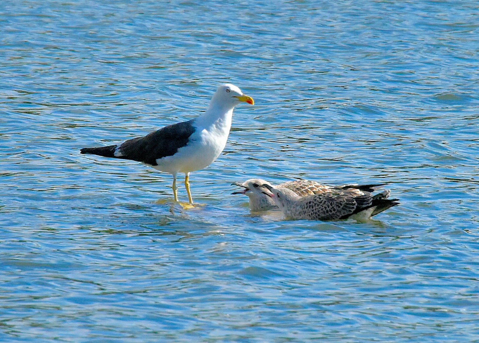 Valokuvaaja: Reijo Juurinen