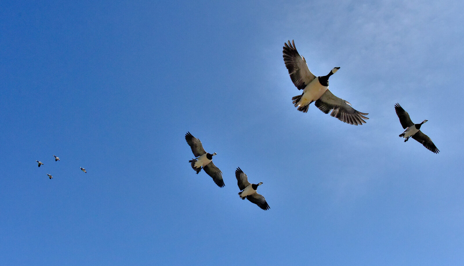 Valokuvaaja: Reijo Juurinen