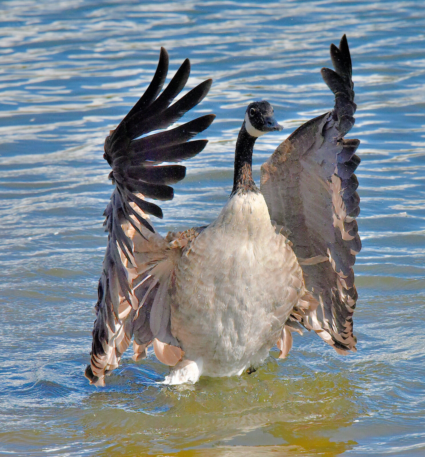 Valokuvaaja: Reijo Juurinen