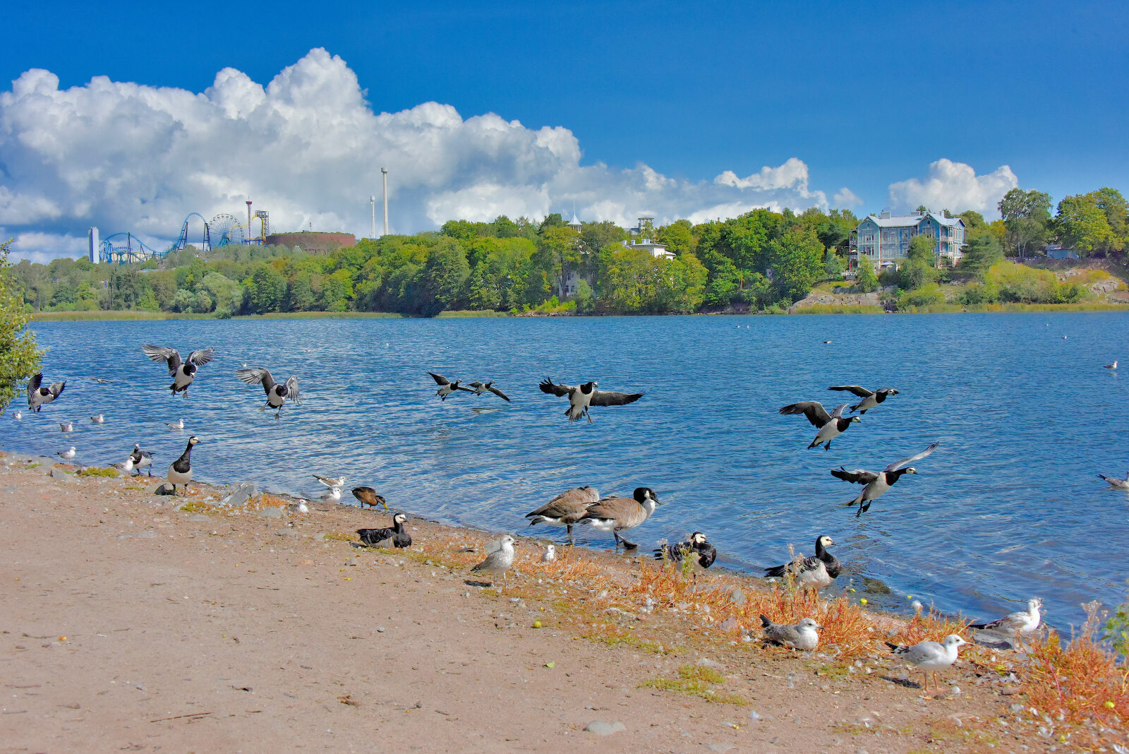 Valokuvaaja: Reijo Juurinen Valokuvaaja: Reijo Juurinen