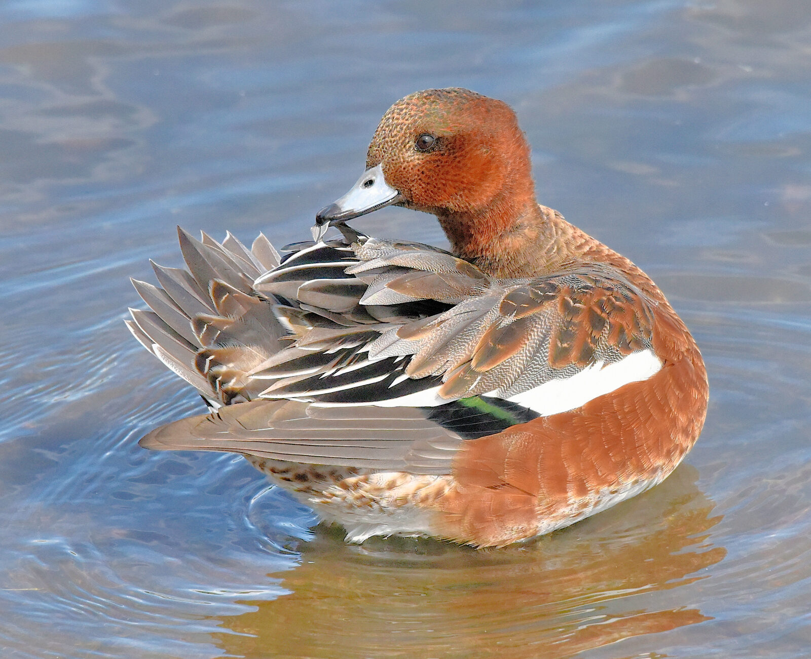 Valokuvaaja: Reijo Juurinen