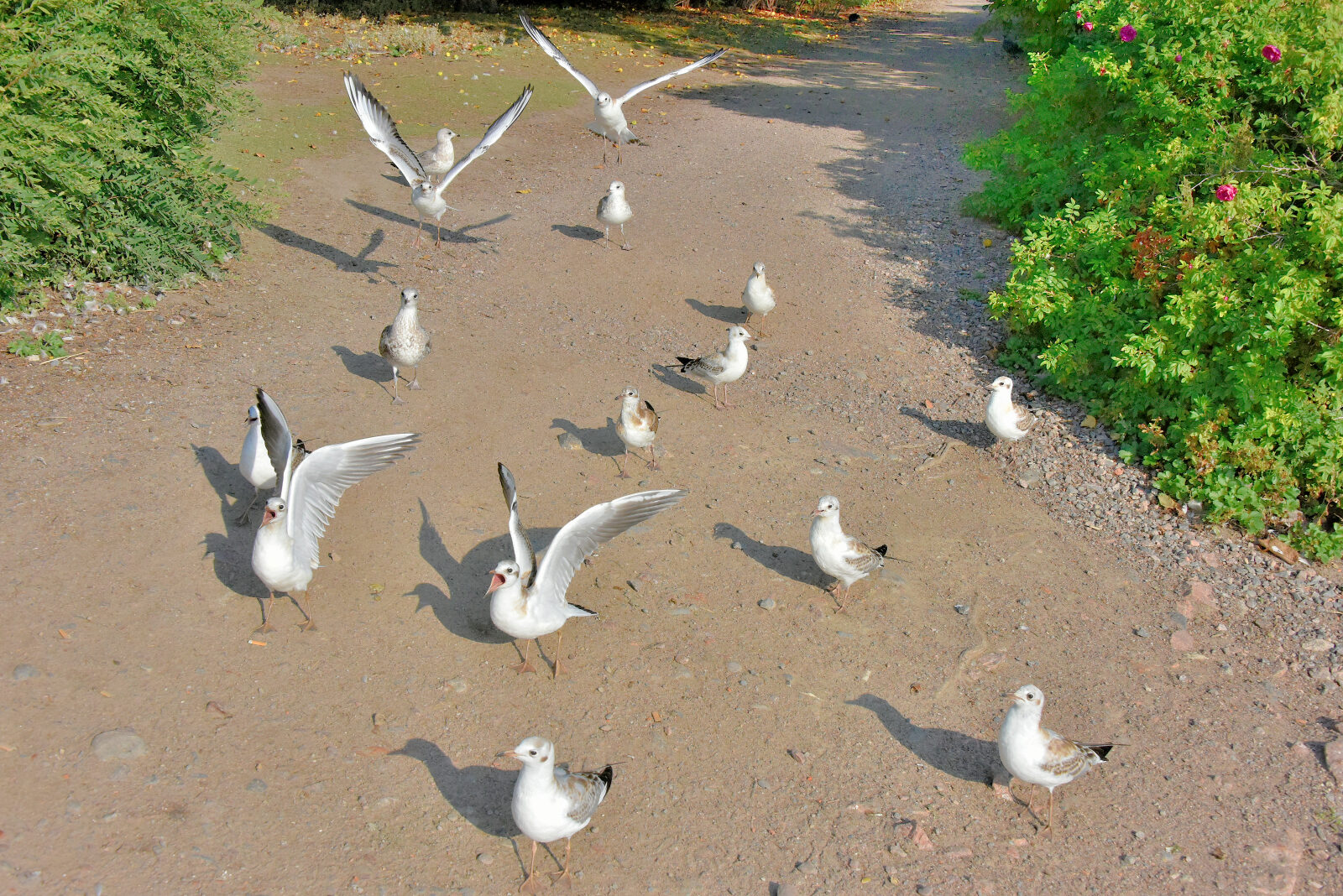 Valokuvaaja: Reijo Juurinen