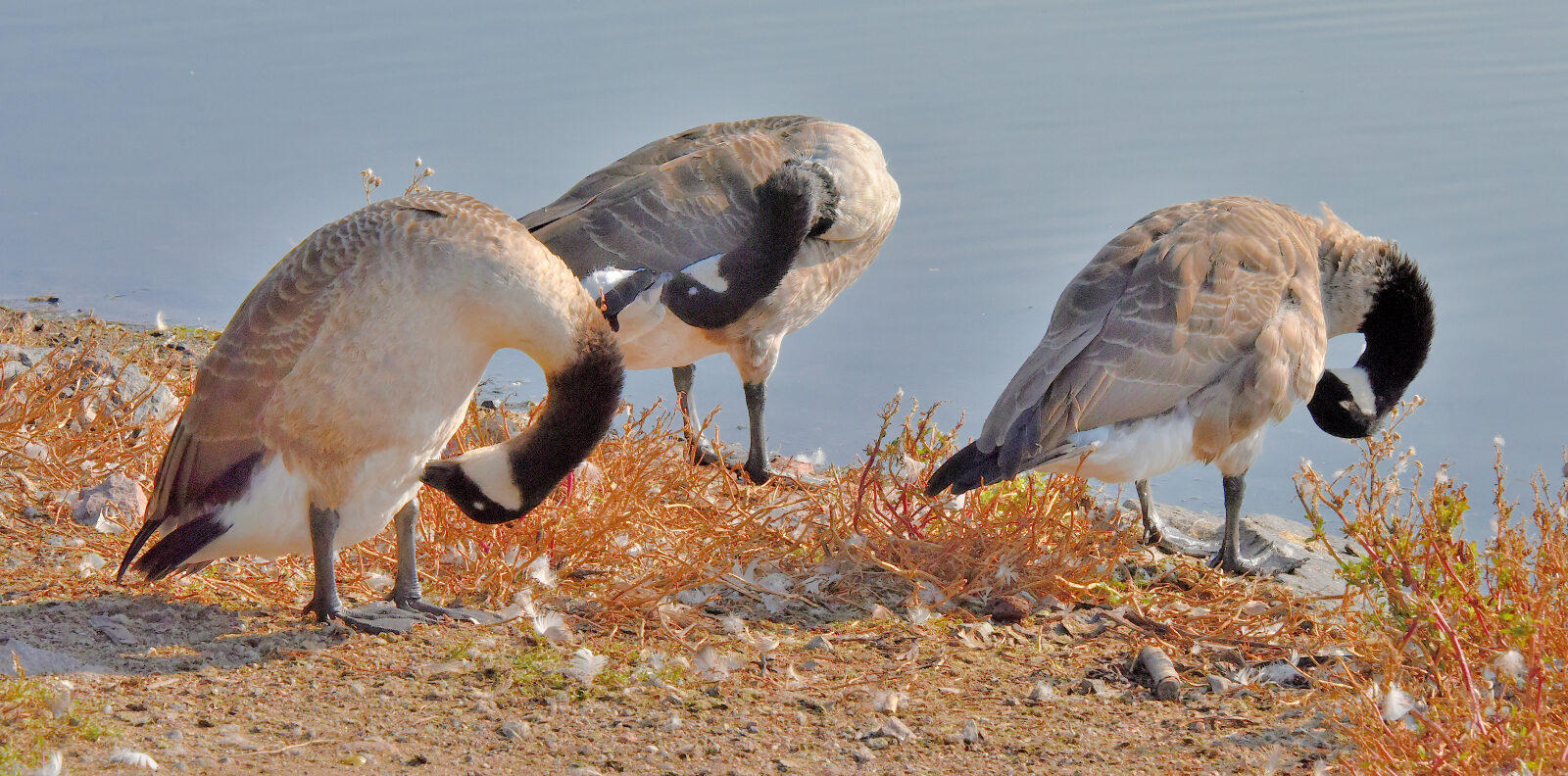 Valokuvaaja: Reijo Juurinen