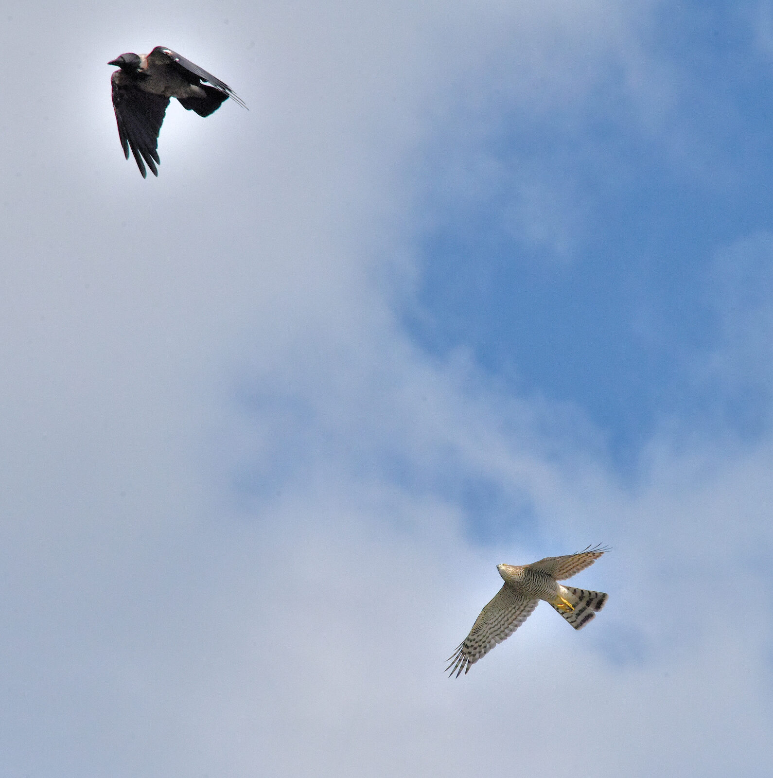 Valokuvaaja: Reijo Juurinen