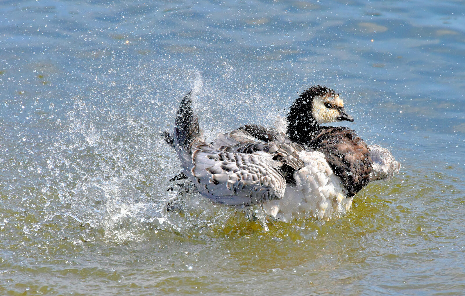 Valokuvaaja: Reijo Juurinen