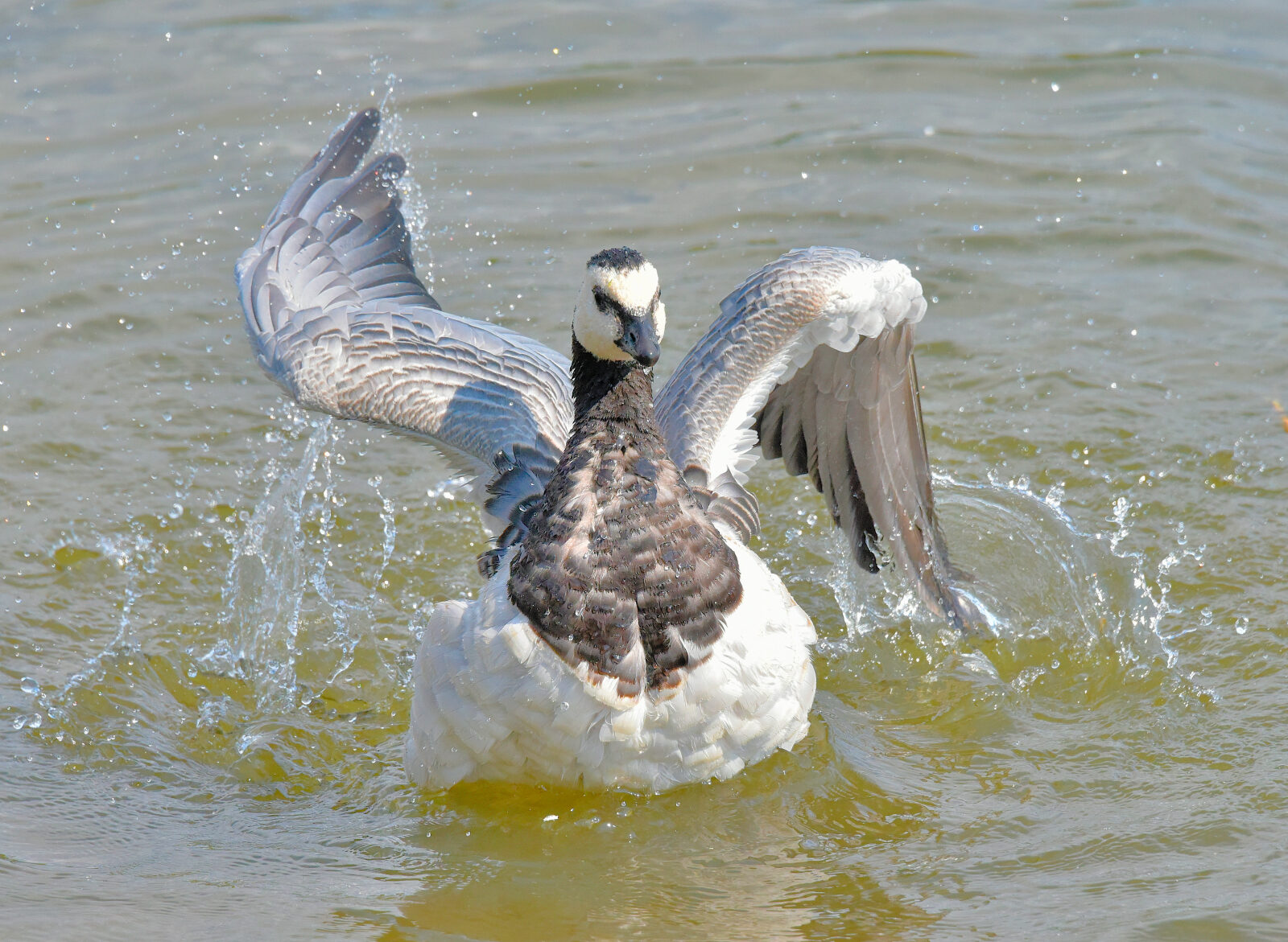 Valokuvaaja: Reijo Juurinen