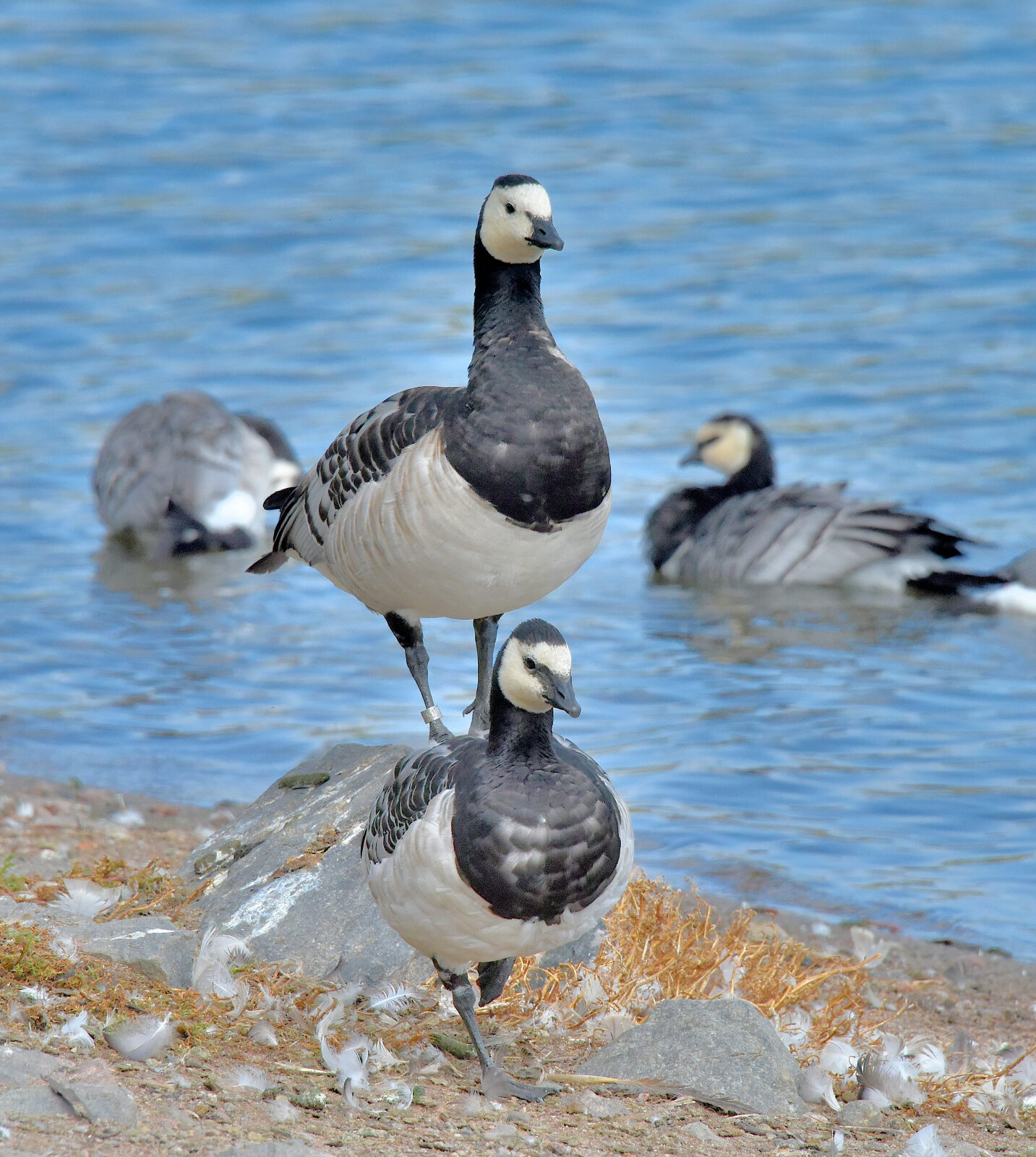 Valokuvaaja: Reijo Juurinen