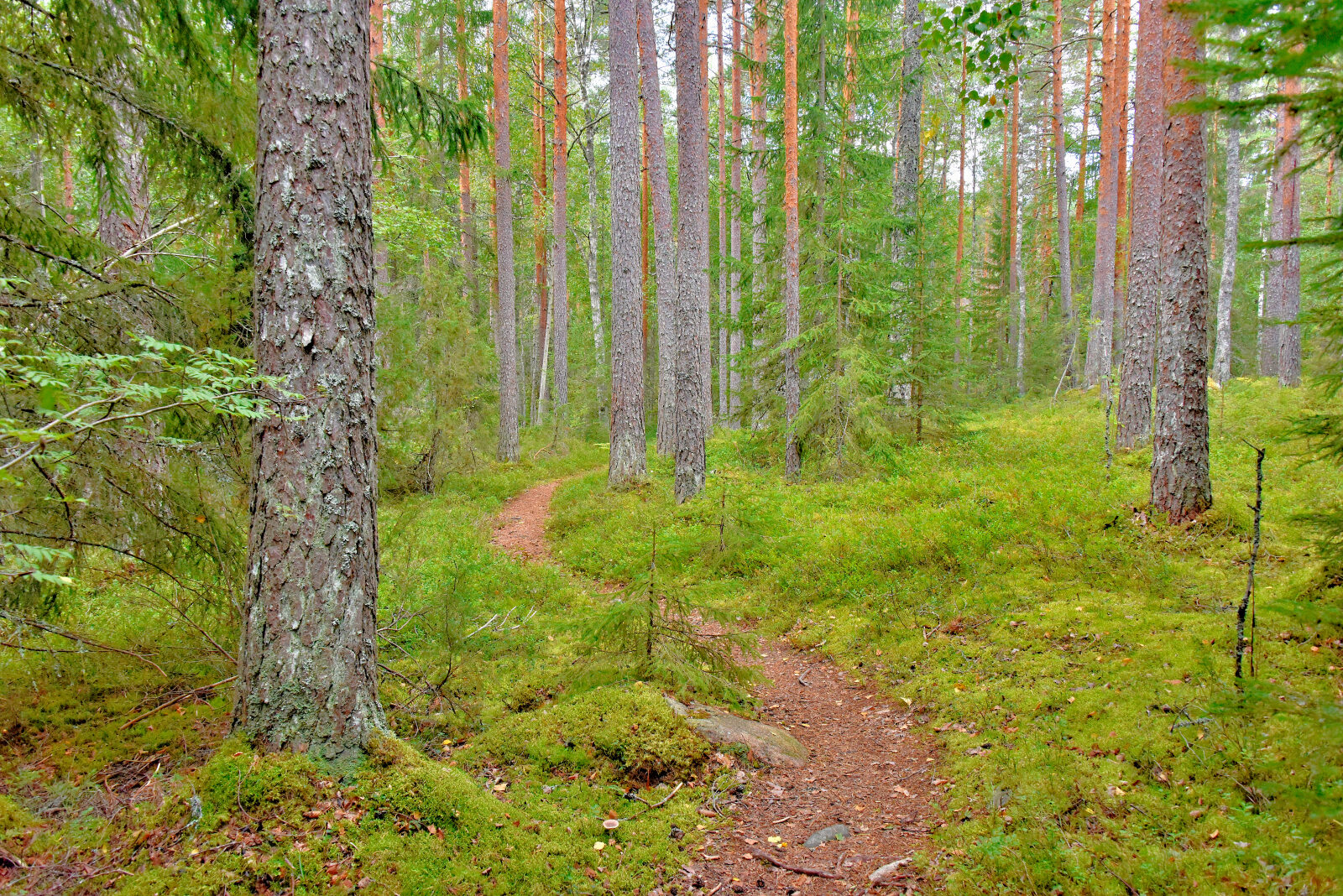 Valokuvaaja: Reijo Juurinen