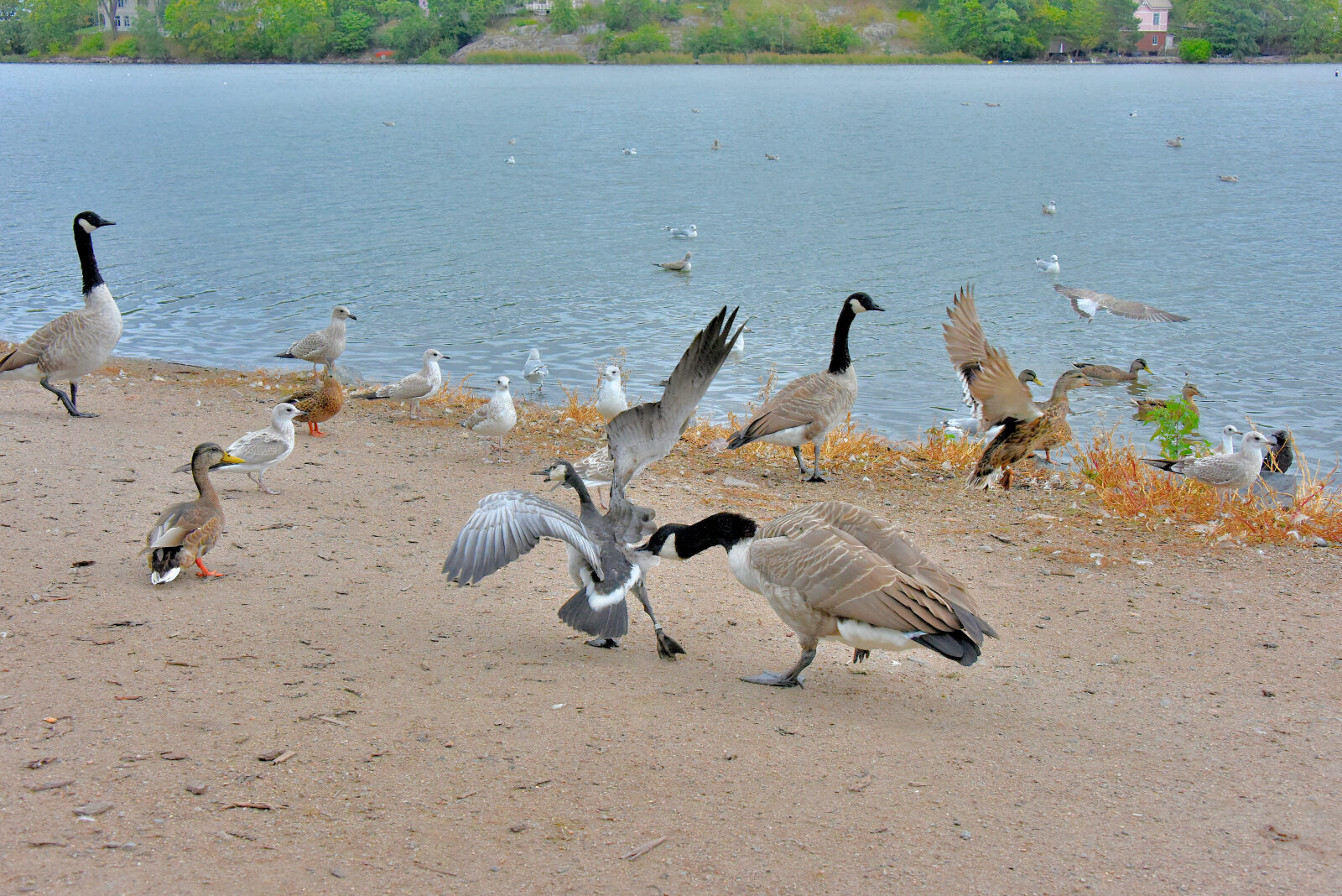 Valokuvaaja: Reijo Juurinen
