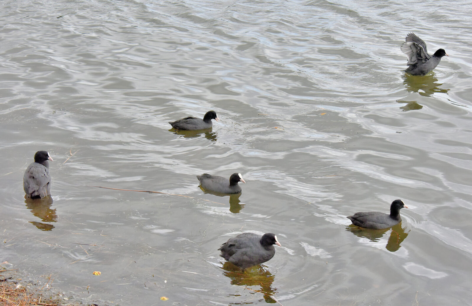Valokuvaaja: Reijo Juurinen