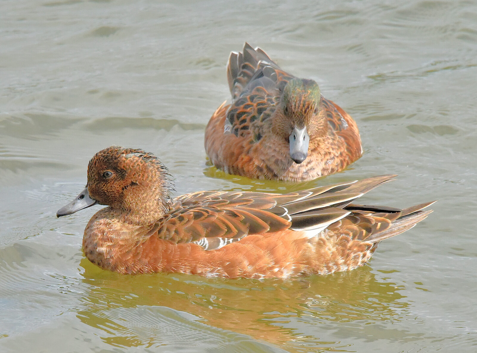 Valokuvaaja: Reijo Juurinen