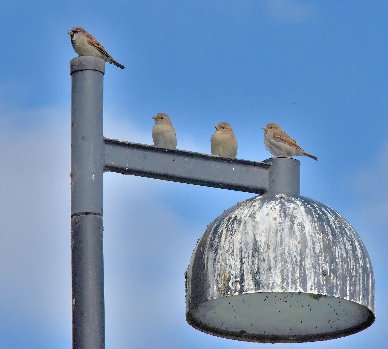 Valokuvaaja: Reijo Juurinen